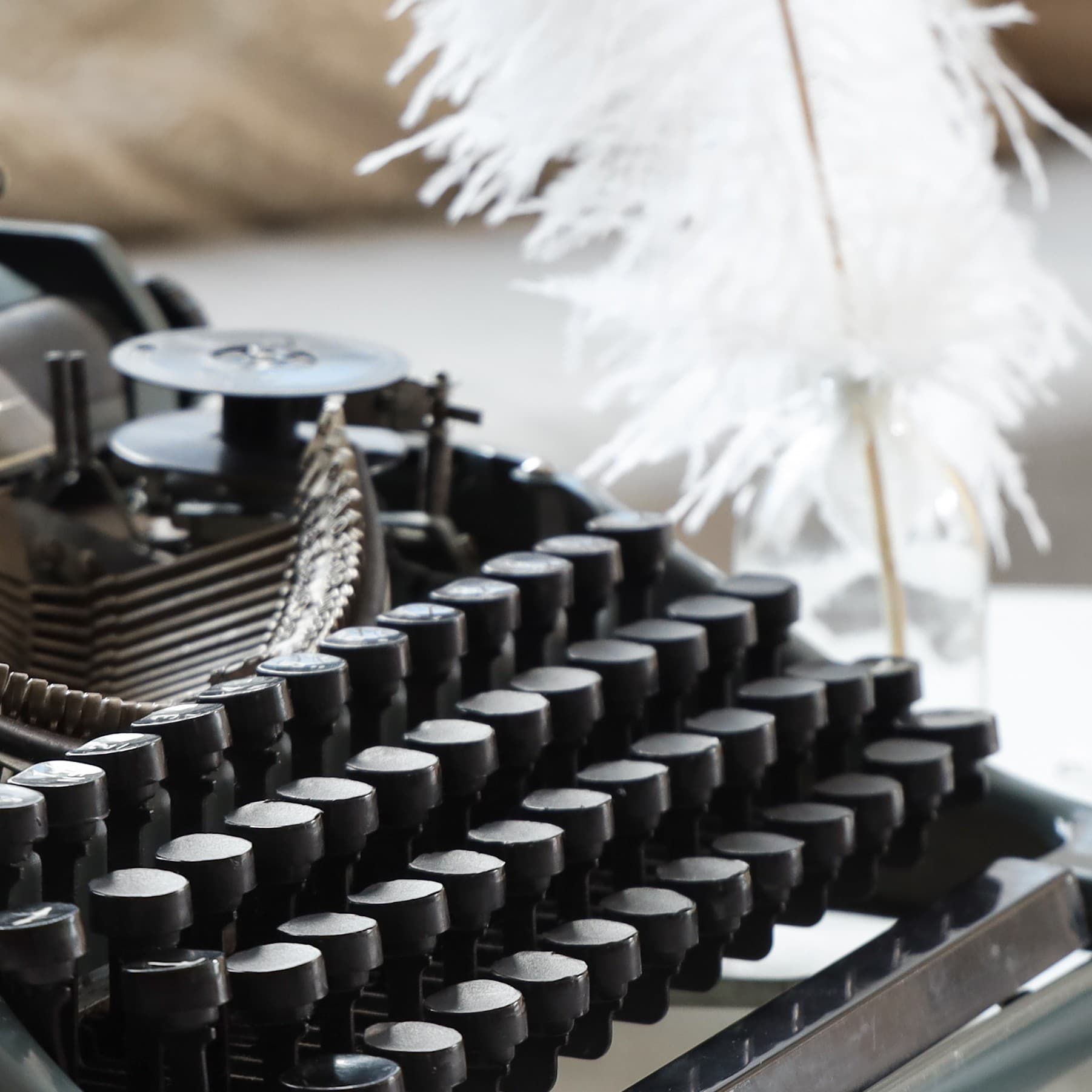 Homeschool Economics cover