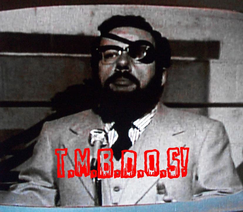 They Must Be Destroyed On Sight! cover