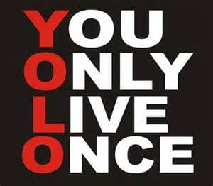 YOLO cover