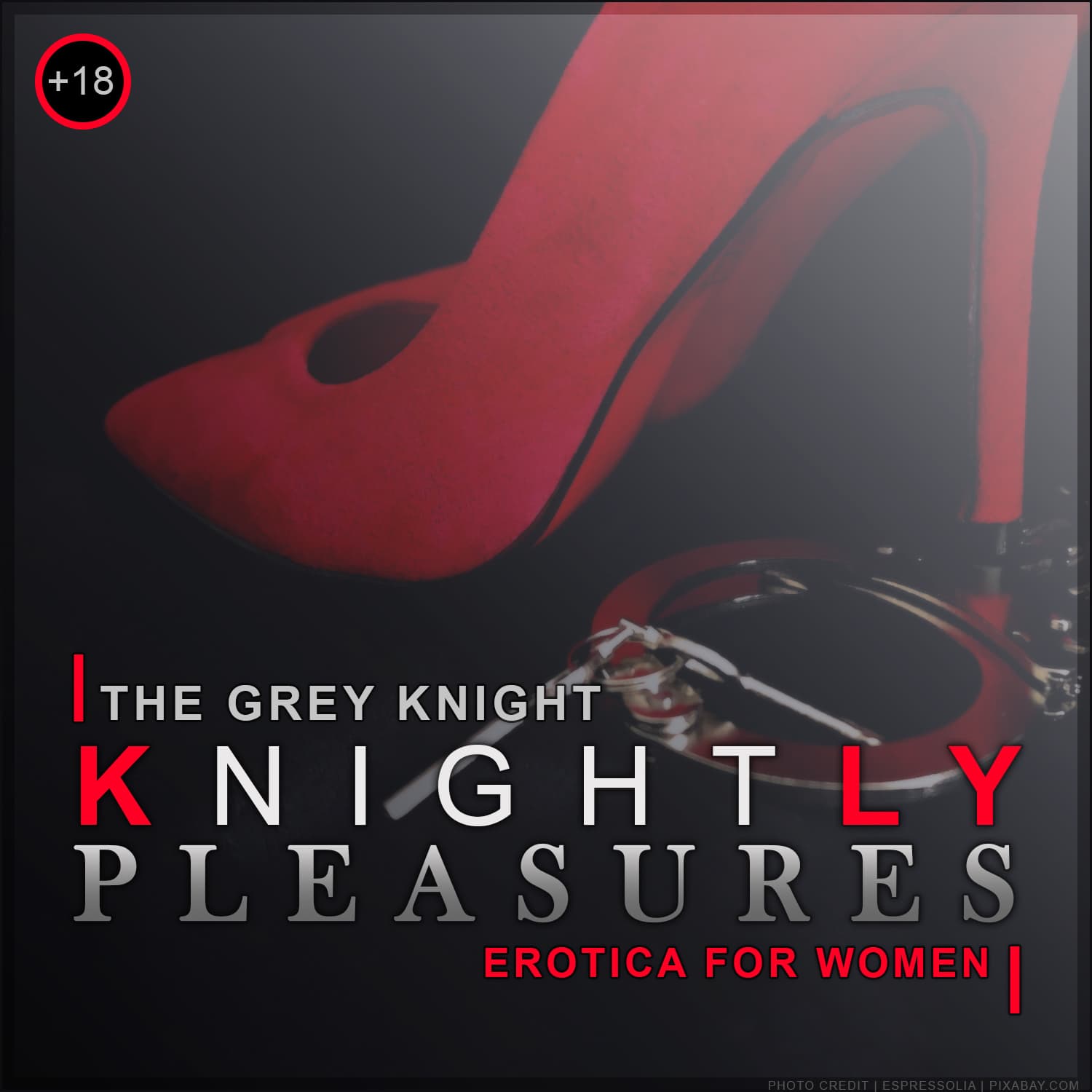 Knightly Pleasures - Erotica for Women cover