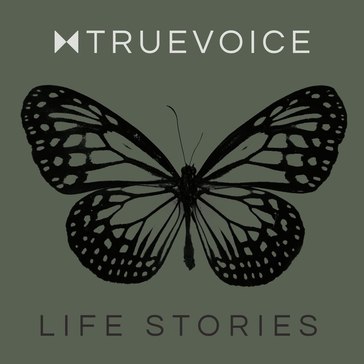 Creation Science — Richard Faison - True Voice Life Stories cover