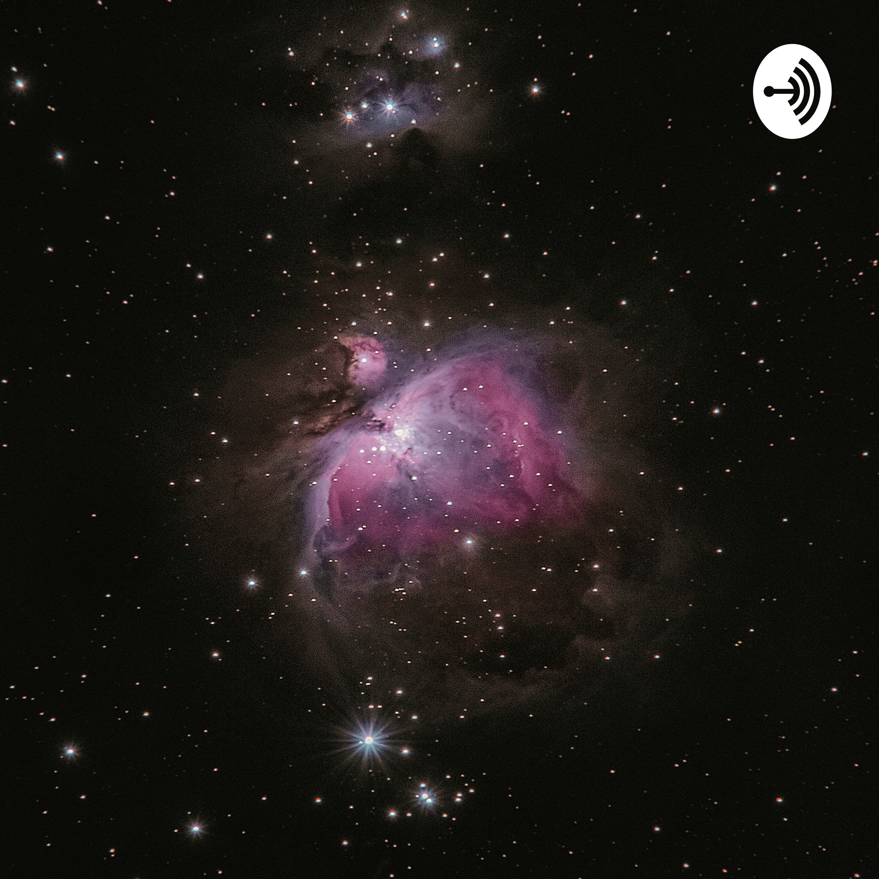 The Elevated Ones cover