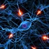 The Mental Universe Debate - Philosophy Now cover