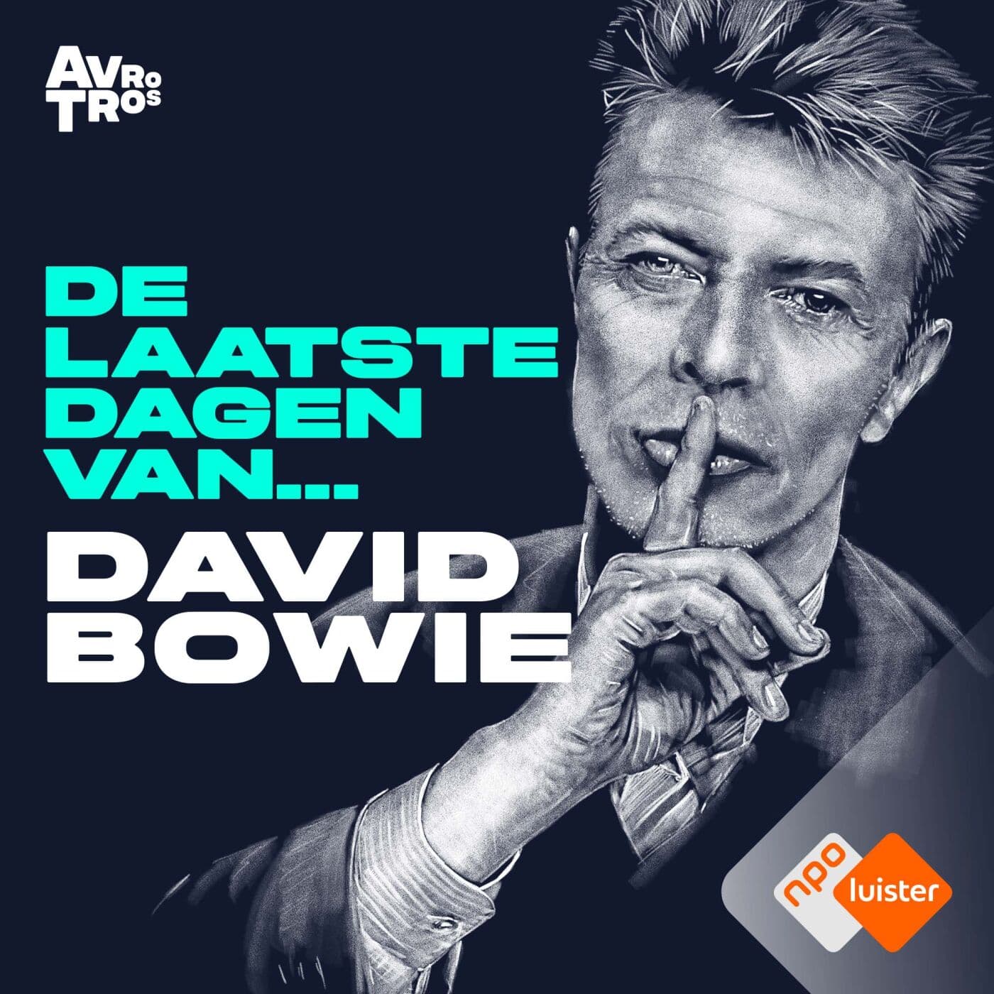 De Laatste Dagen Van... David Bowie cover
