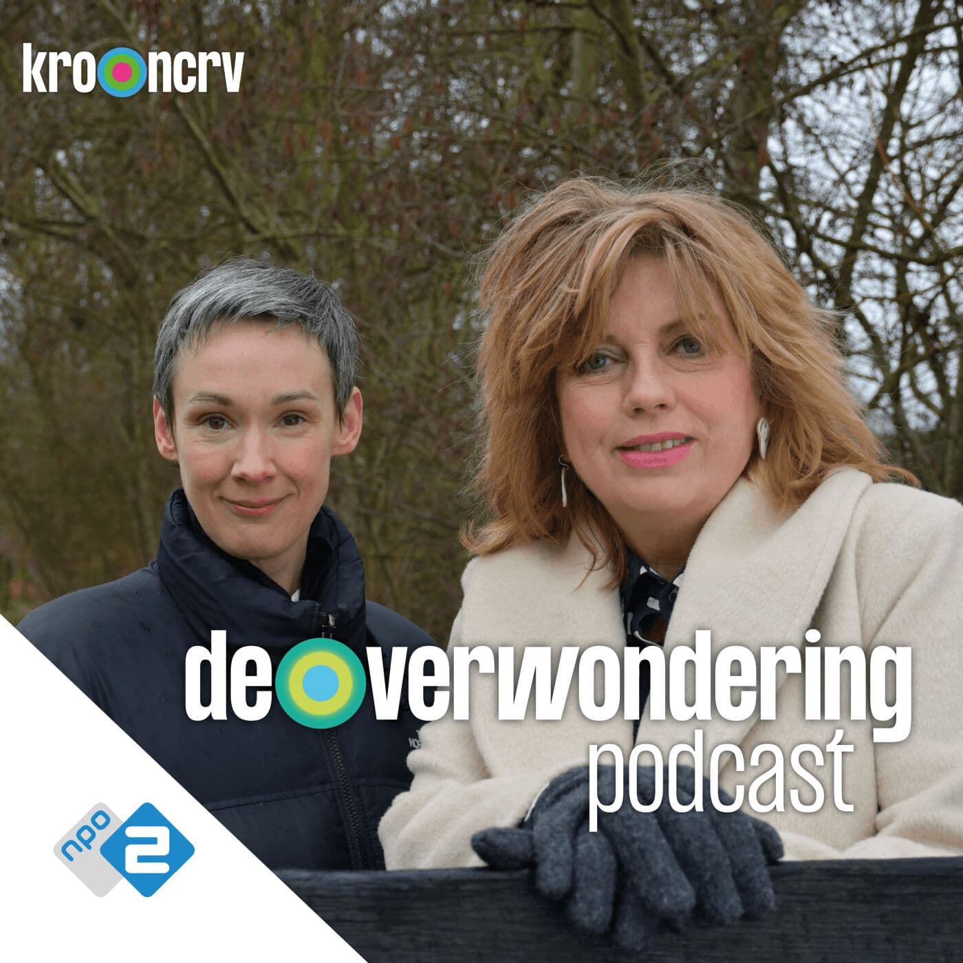 Anne van Veen: hoe het liedje 'Anne, de wereld is niet mooi' haar leven kleurt — De Verwondering Podcast cover