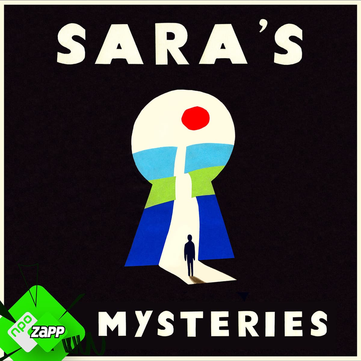 #19 - De Onbekende Kattenvader - Sara's Mysteries cover