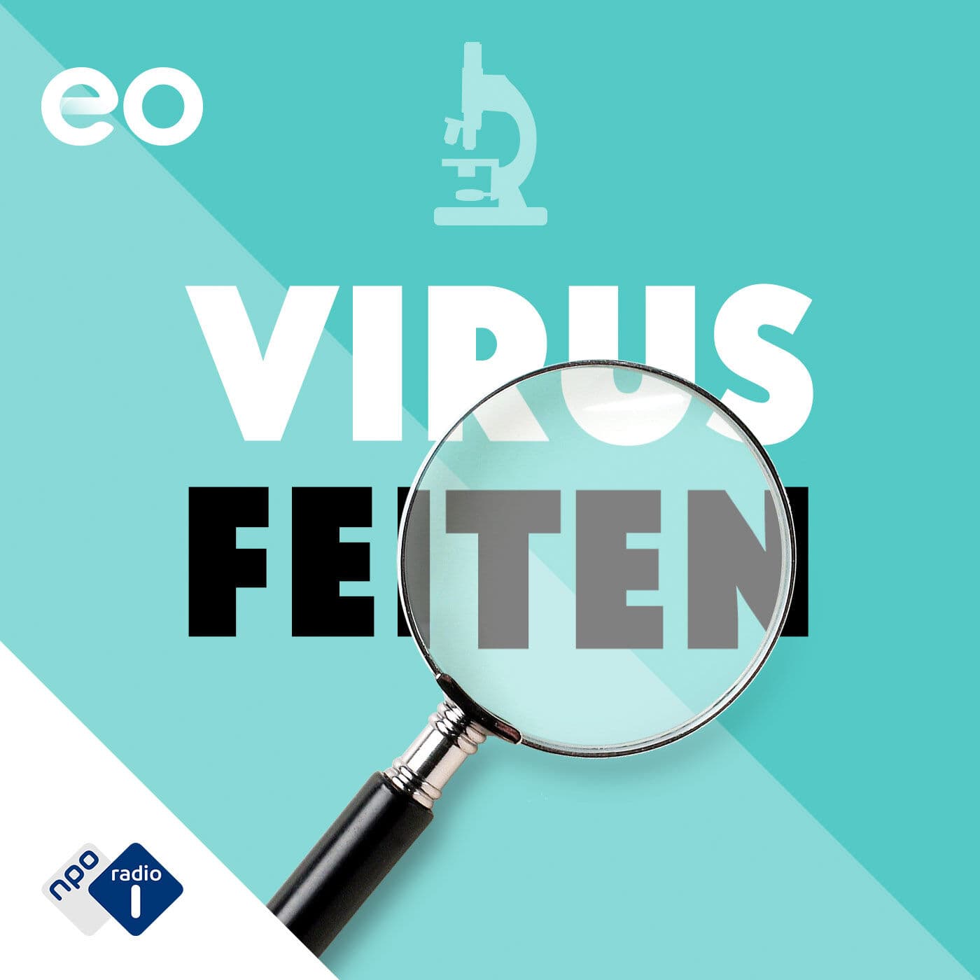 Virusfeiten cover