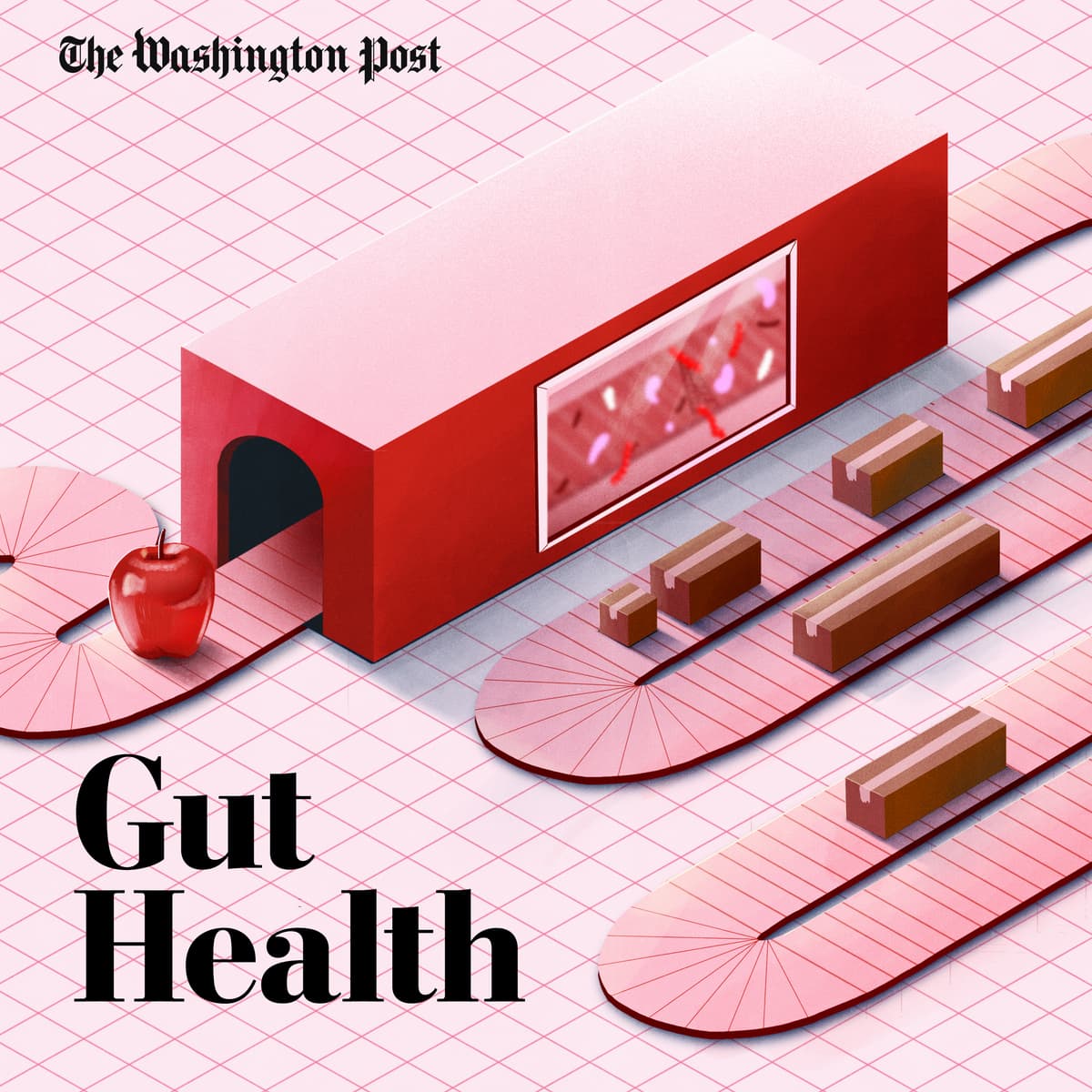 Understanding your gut with 'Try This' - Post Reports cover