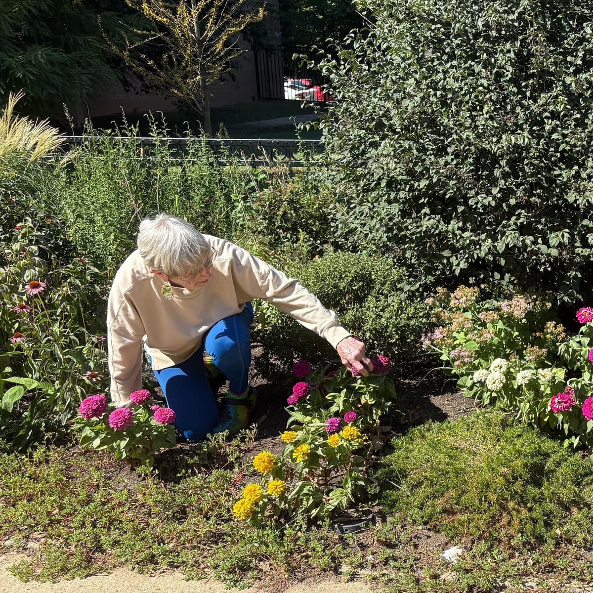 How to be a ‘super ager’ - Post Reports cover