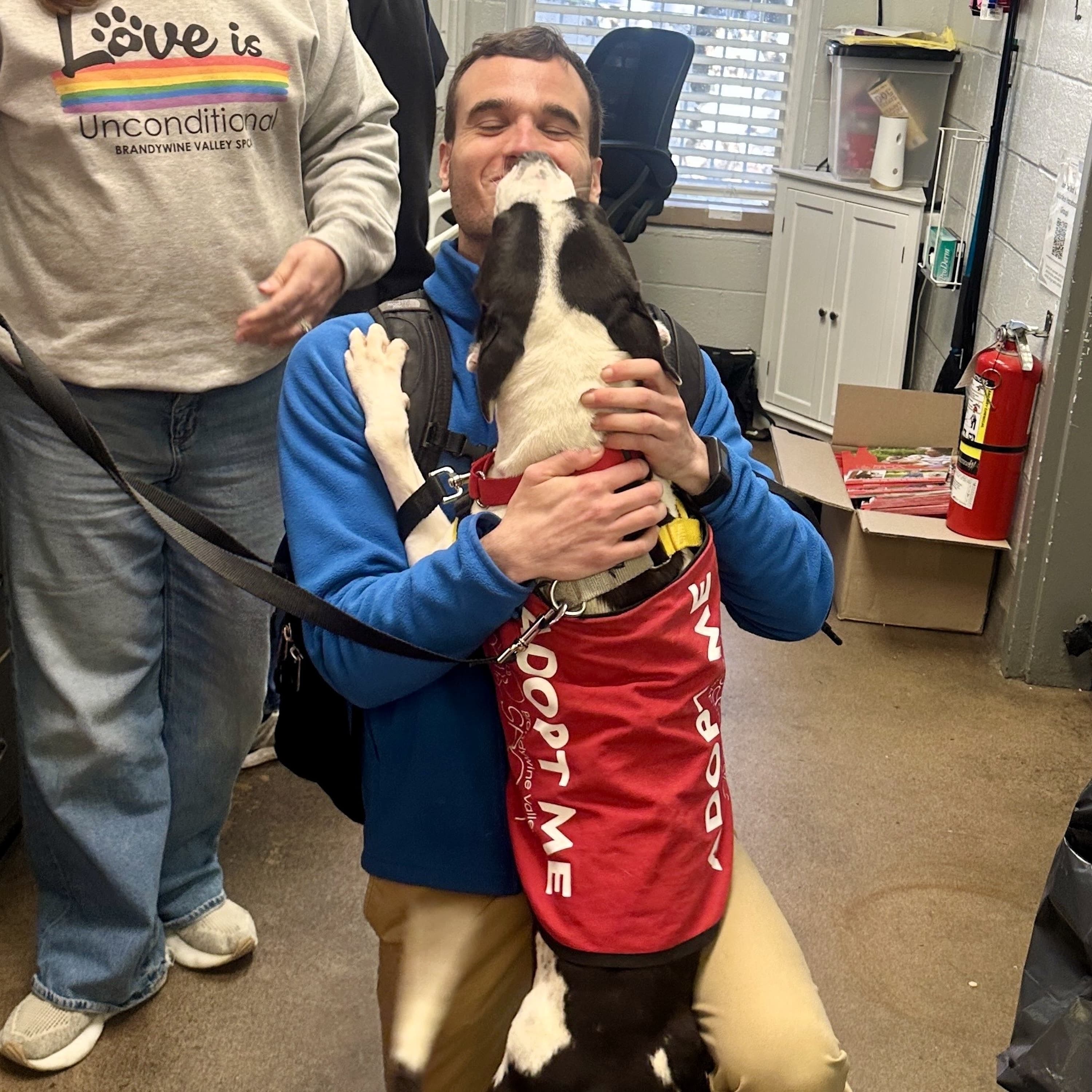 How much do dogs reduce our stress? - Post Reports cover