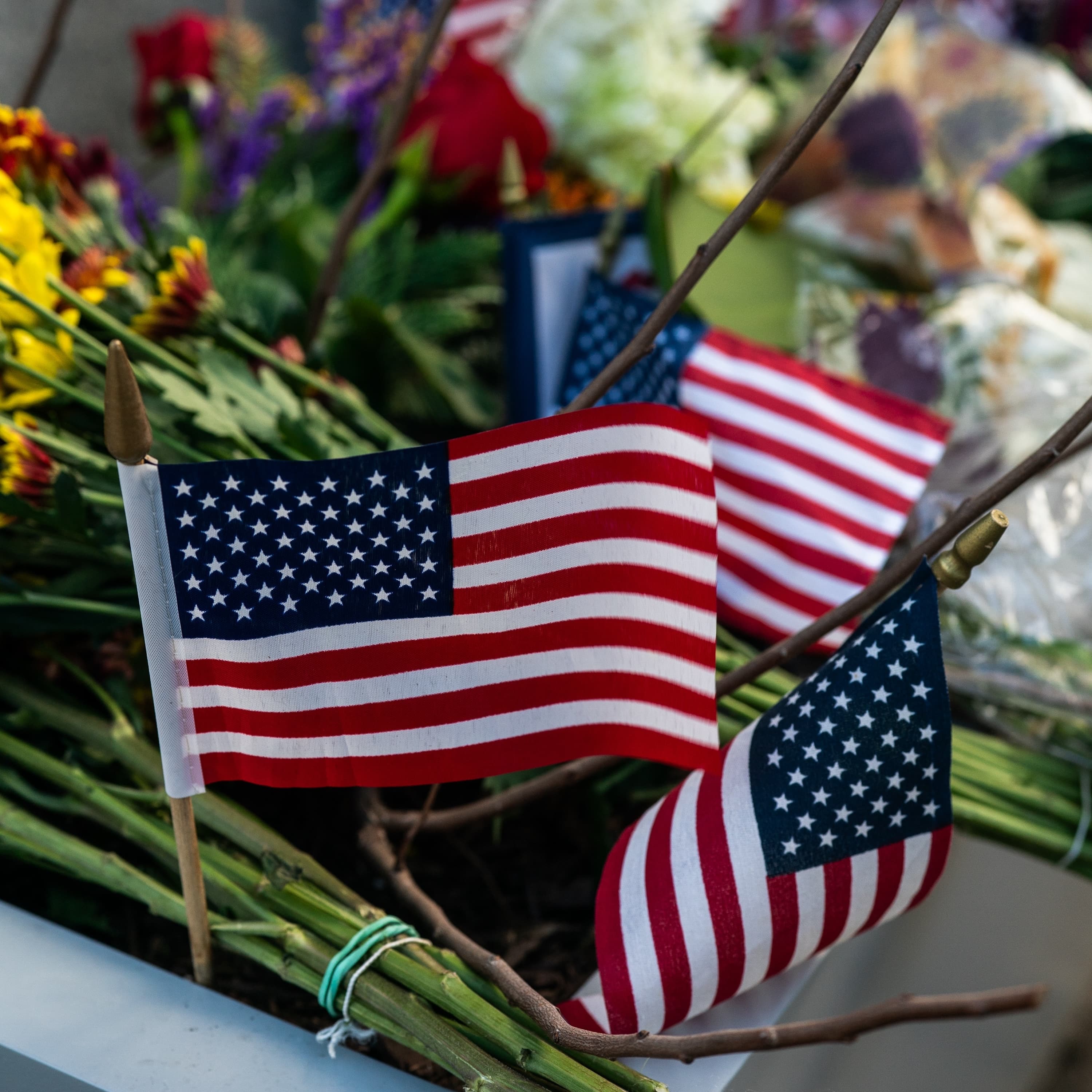 What happens to asylum after the attack on the National Guard - Post Reports cover