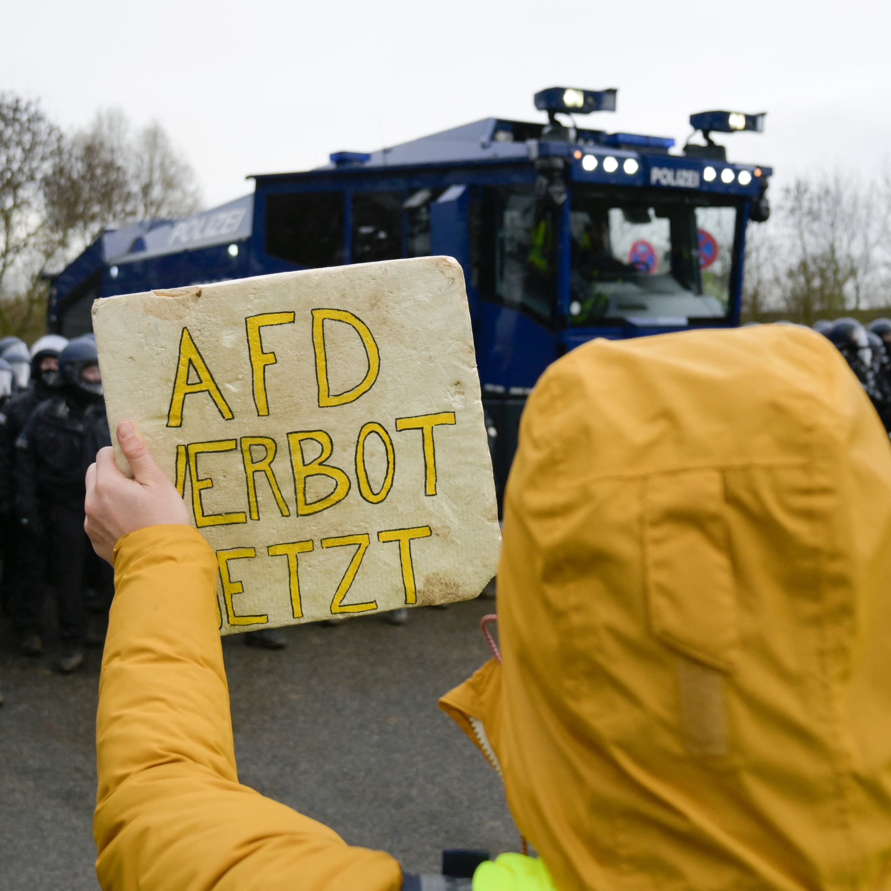 Should Germany ban its far-right party? - Post Reports cover