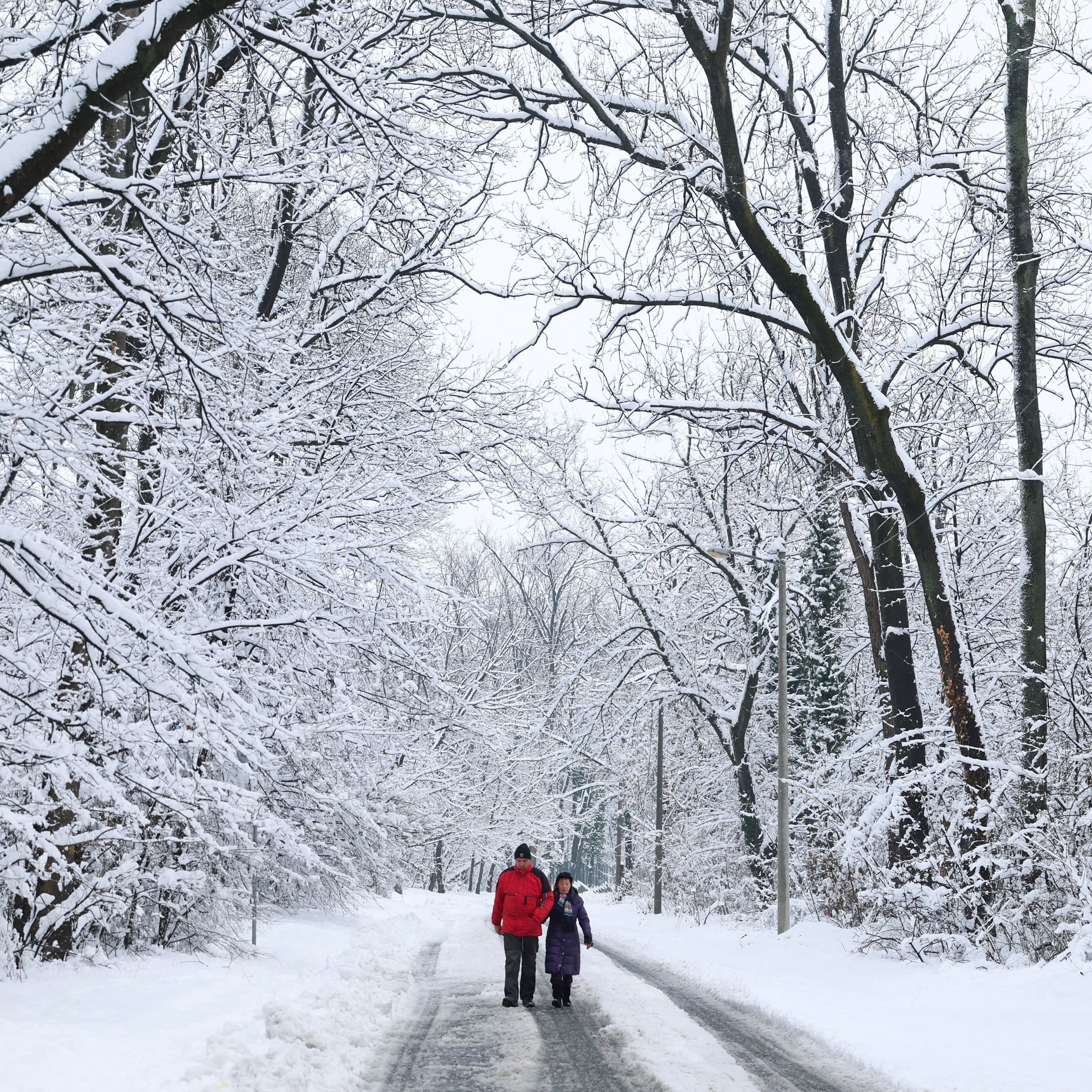 Why going outside is good for you, even when it's freezing - Post Reports cover