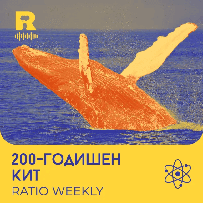 200-годищен кит – [Ratio Weekly с Никола Кереков #291] - Ratio Weekly cover