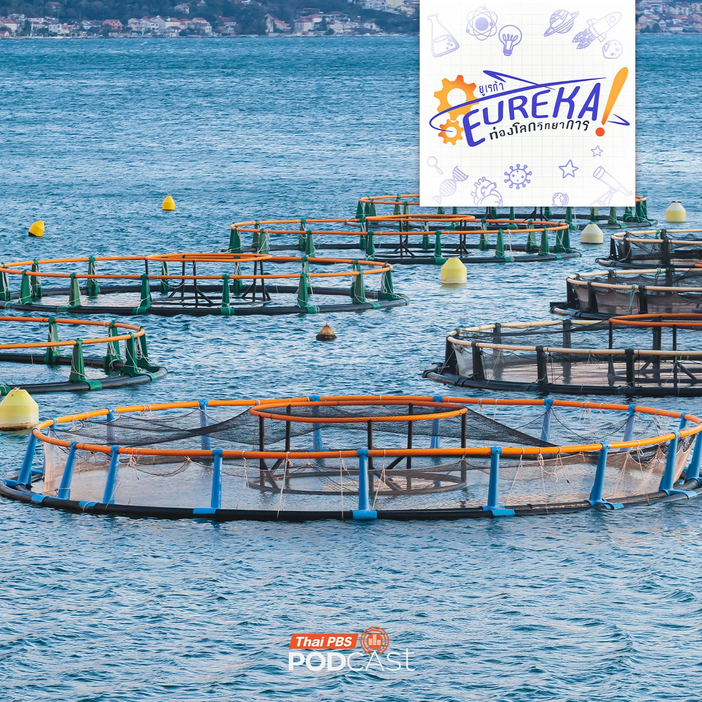 Eureka ท่องโลกวิทยาการ EP. 9: ระบบการเลี้ยงสัตว์น้ำแบบน้ำไหลเวียน - Thai PBS Podcast cover
