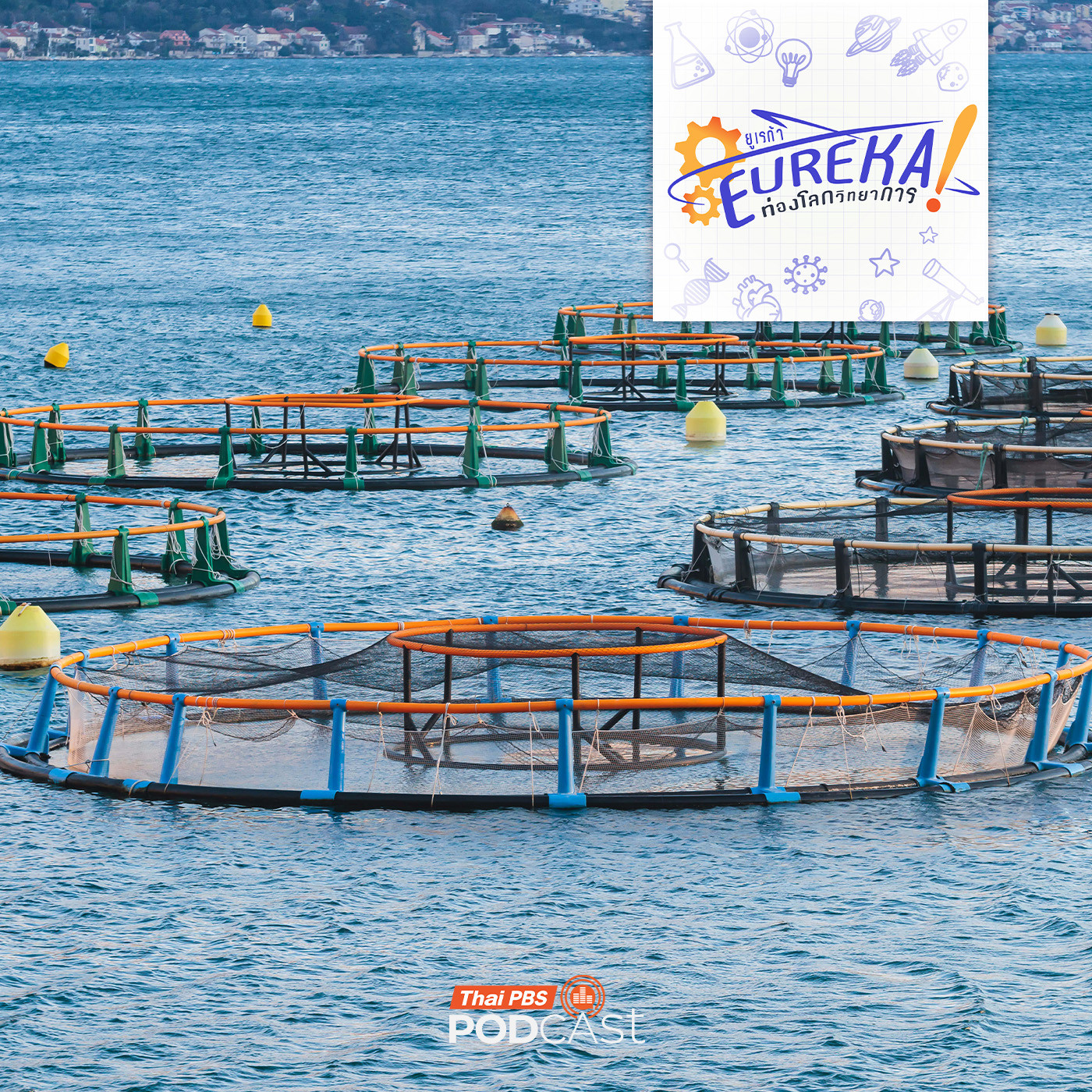 Eureka ท่องโลกวิทยาการ EP. 9: ระบบการเลี้ยงสัตว์น้ำแบบน้ำไหลเวียน - Thai PBS Podcast cover