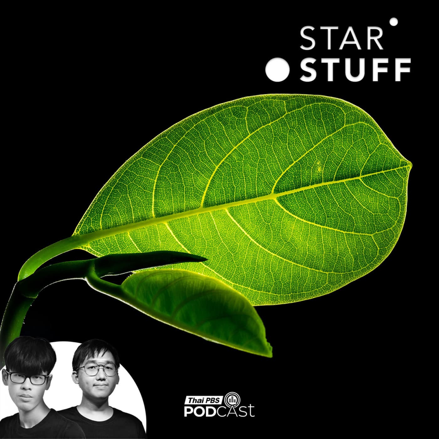 Starstuff  เรื่องเล่าจากดวงดาว EP. 232: ทำไมโลกของเราถึงเต็มไปด้วย “สีเขียว” กันแน่ - Thai PBS Podcast cover