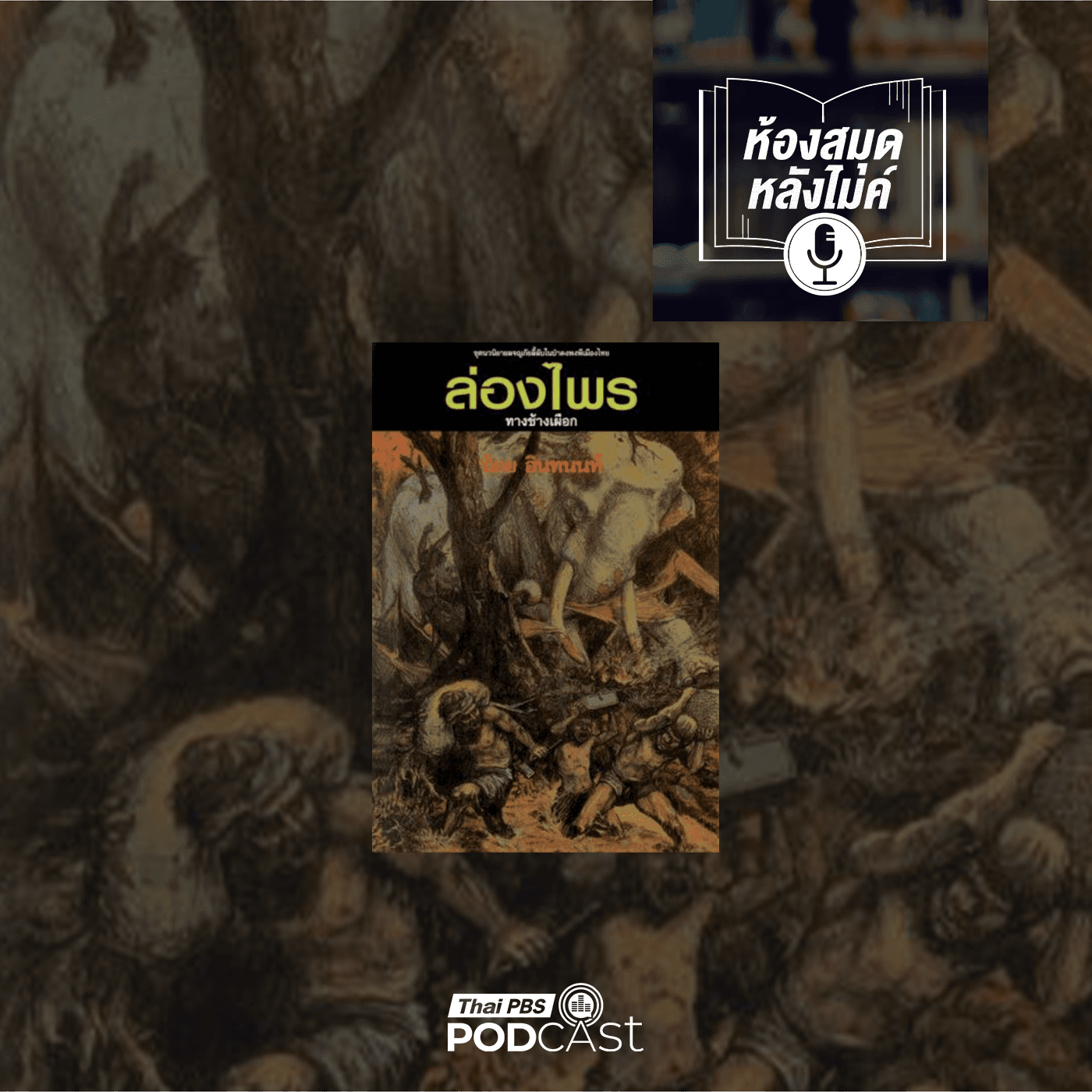 The Active Podcast EP. 288: Longi Park เมืองแบบไหนทำให้คนอายุยืน - Thai PBS Podcast cover