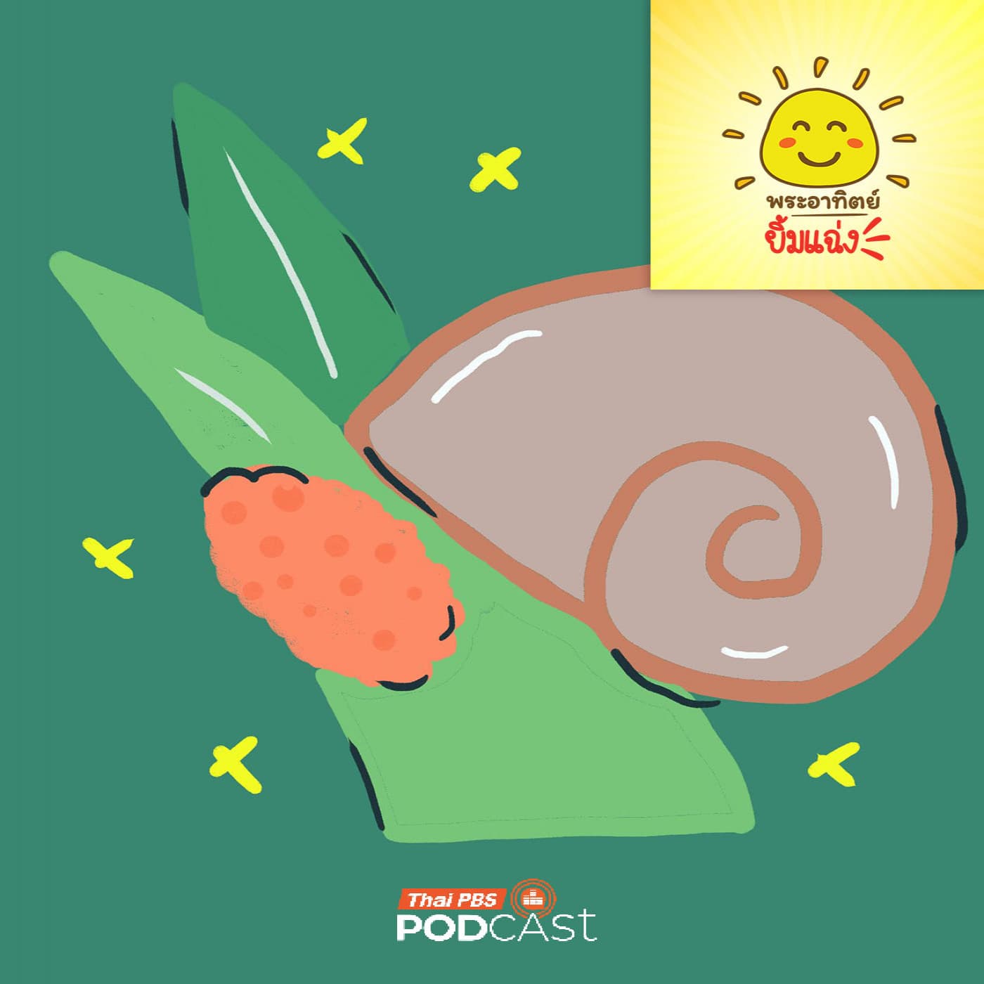 พระอาทิตย์ยิ้มแฉ่ง EP. 2028: ทำไมไข่หอยเชอรี่... ถึงเป็นสีชมพูจี๊ด - Thai PBS Podcast cover