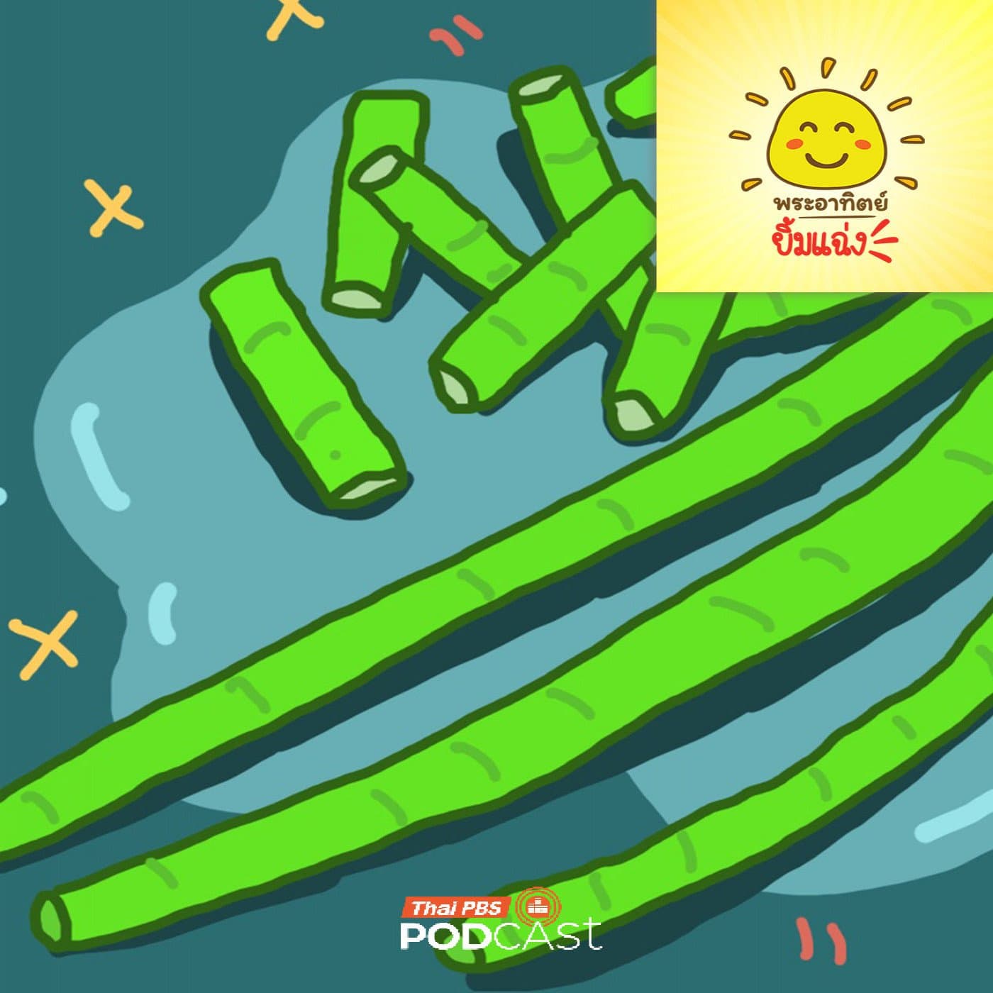 พระอาทิตย์ยิ้มแฉ่ง EP. 2049: ทำไมถั่วฝักยาวต้องยาว — Thai PBS Podcast cover