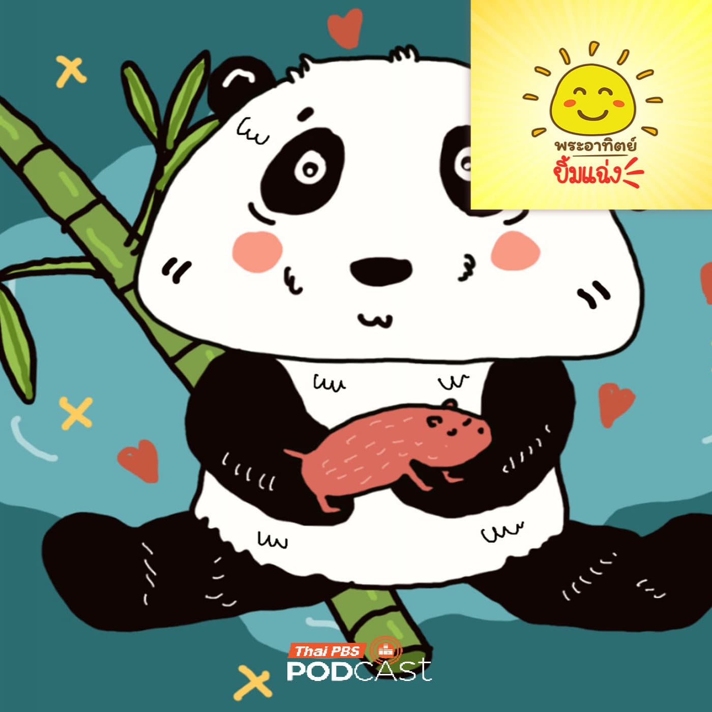 พระอาทิตย์ยิ้มแฉ่ง EP. 2050: ทำไมลูกแพนด้าตอนเกิดตัวเล็กจัง — Thai PBS Podcast cover