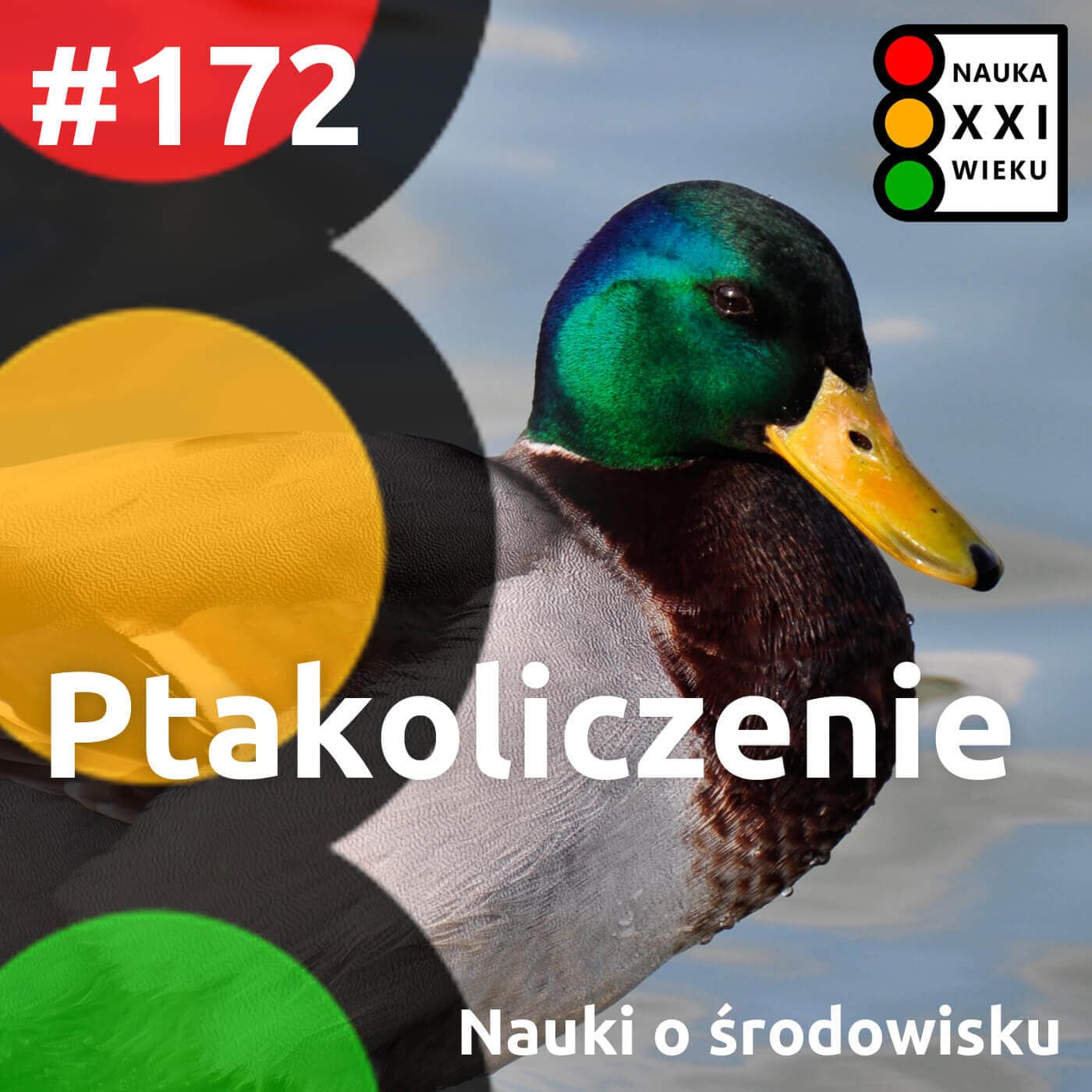 #172. Ptakoliczenie - Nauka XXI wieku cover
