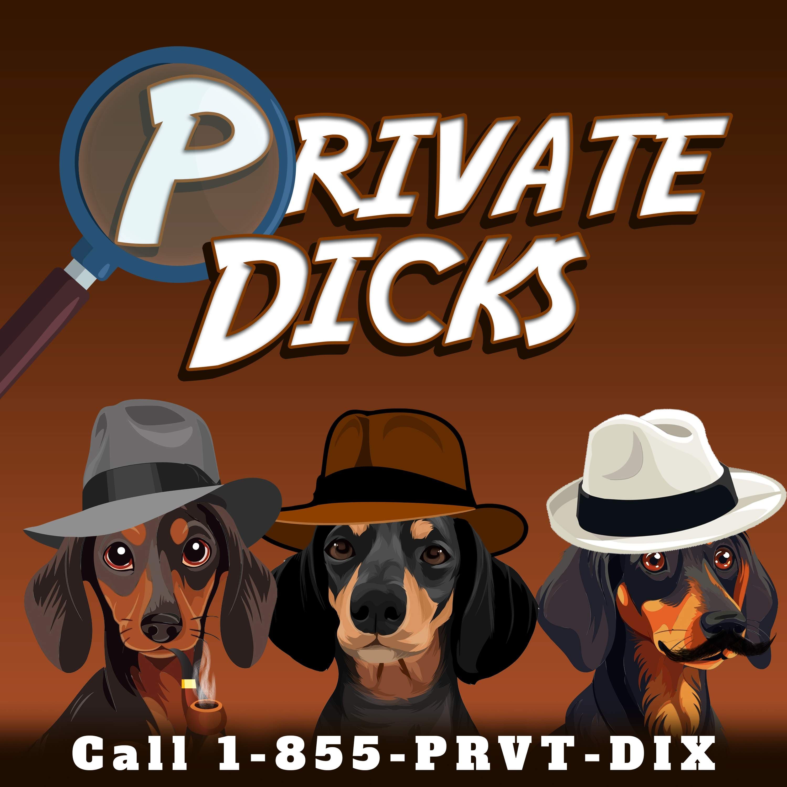 Private Dicks cover