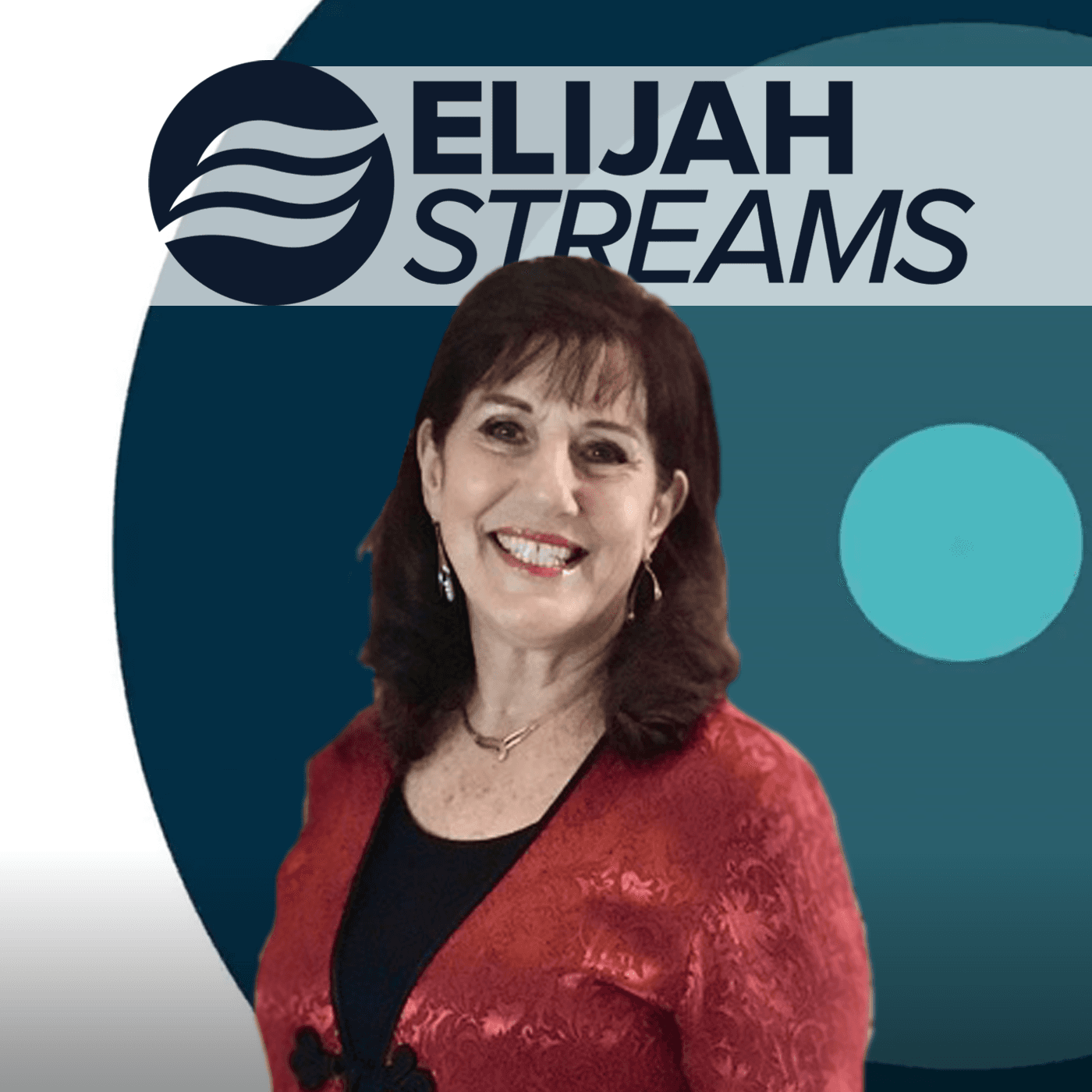 A True Turning Point In Our Nation – Donna Rigney - ElijahStreams cover