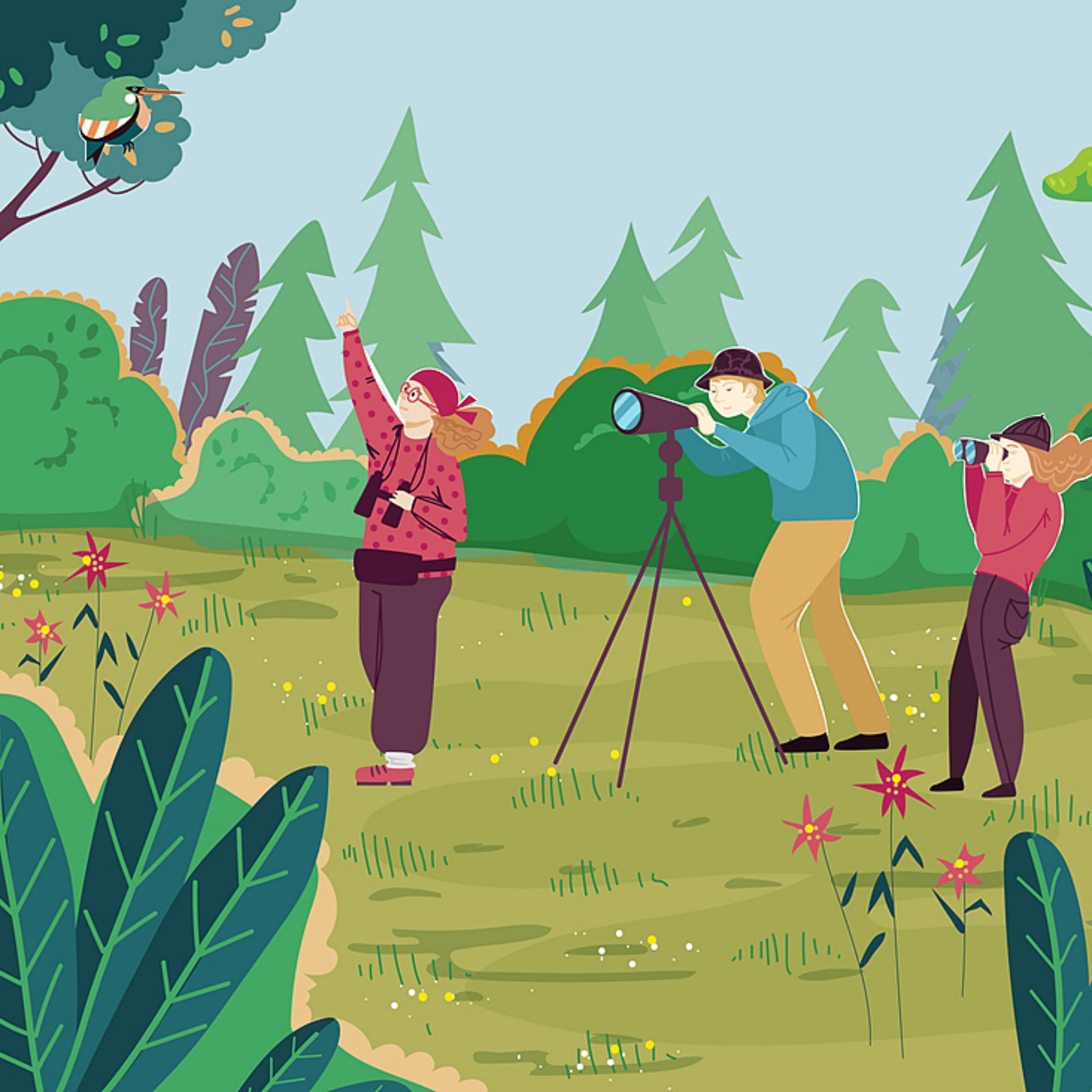 Birding takes flight in China! - Round Table China cover