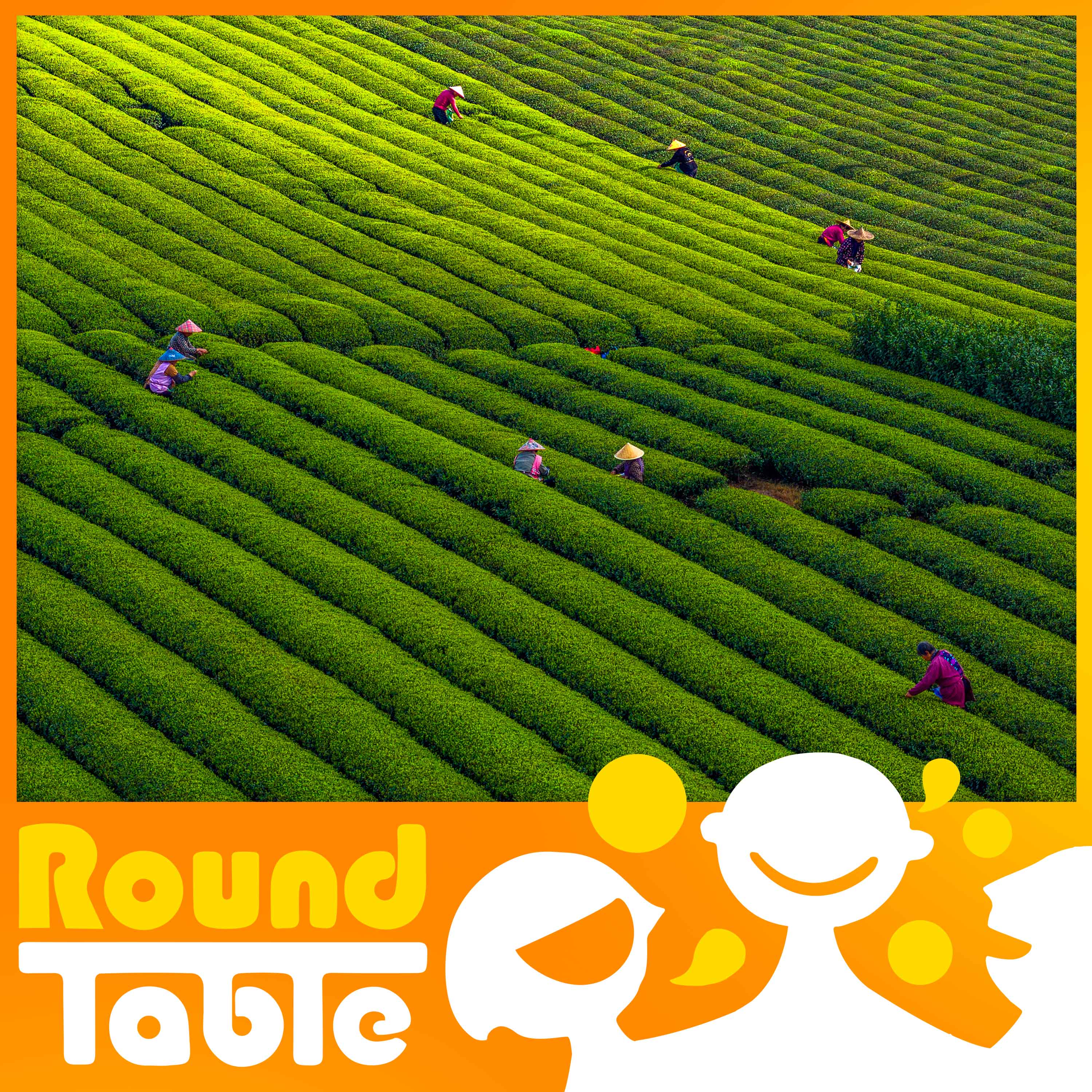 Steep your next adventure in tea! - Round Table China cover