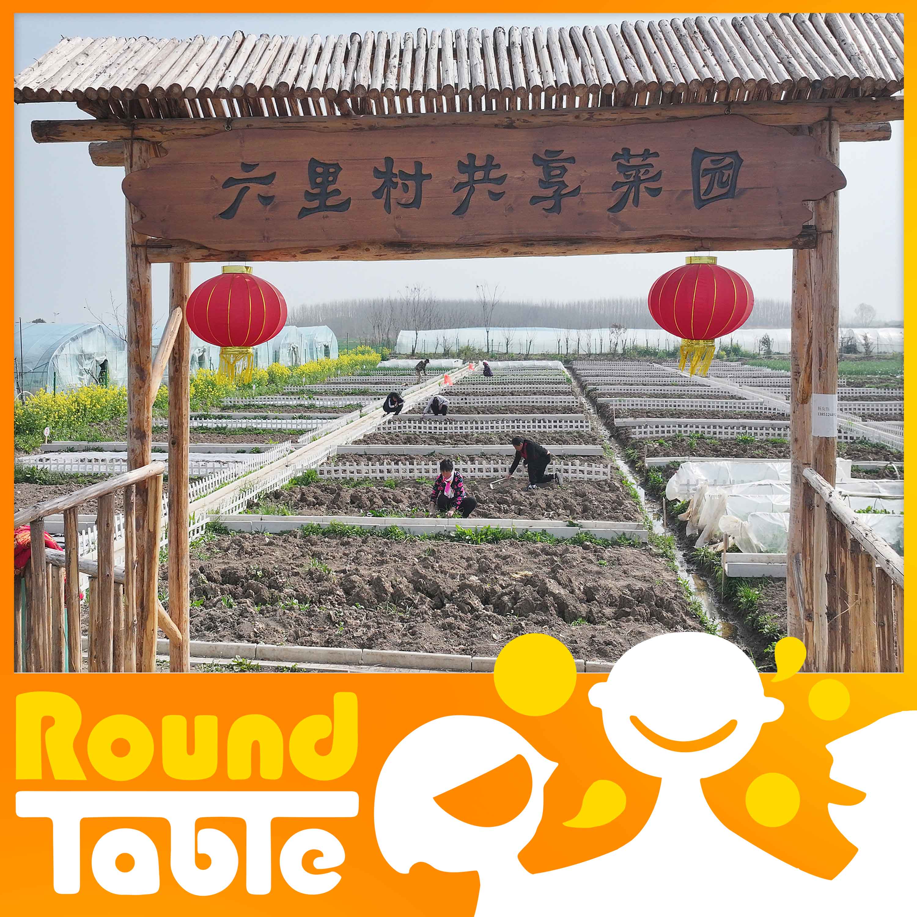 Grow from your smartphone - Round Table China cover