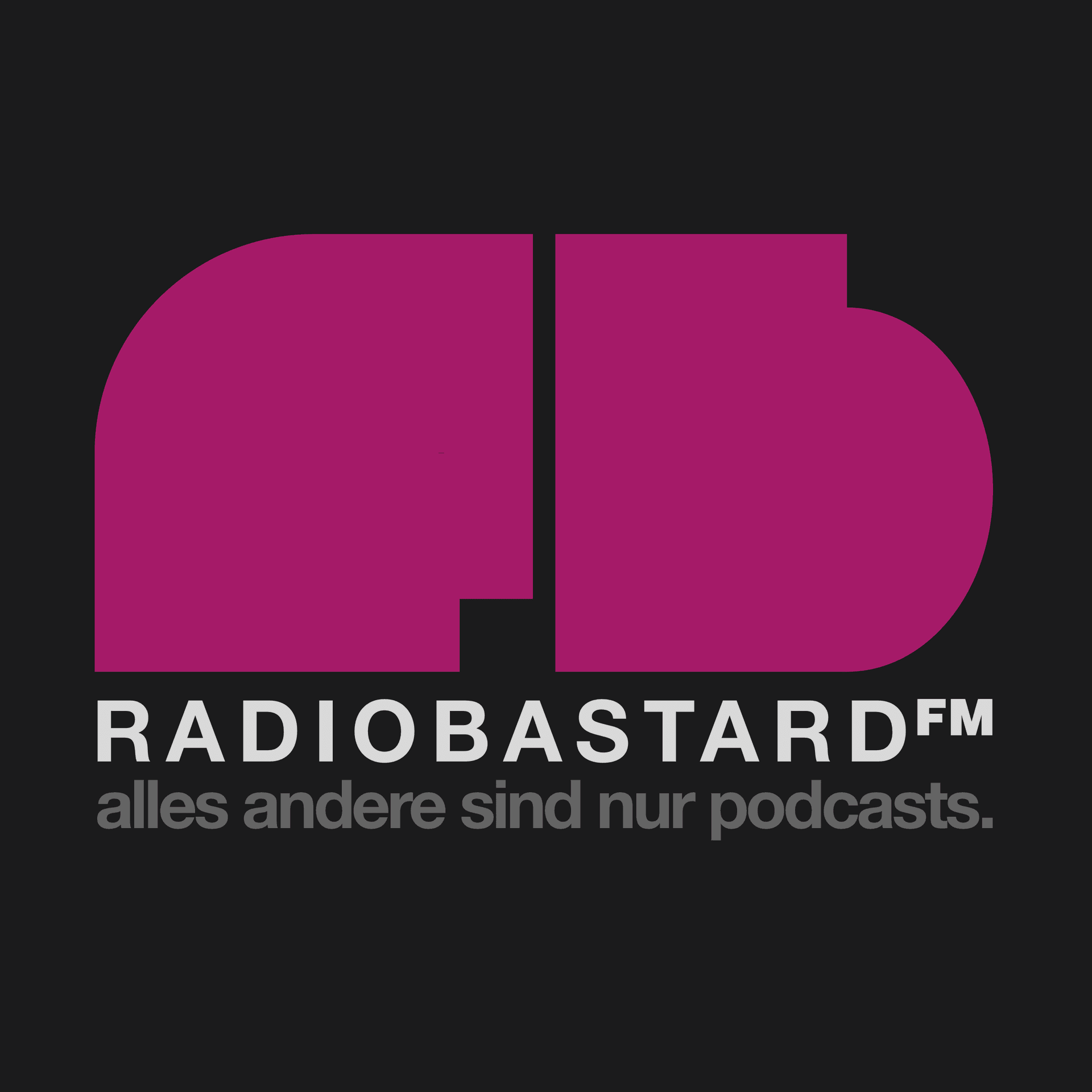 2462 / Willkommen im Schaltjahr - RADIO BASTARD cover