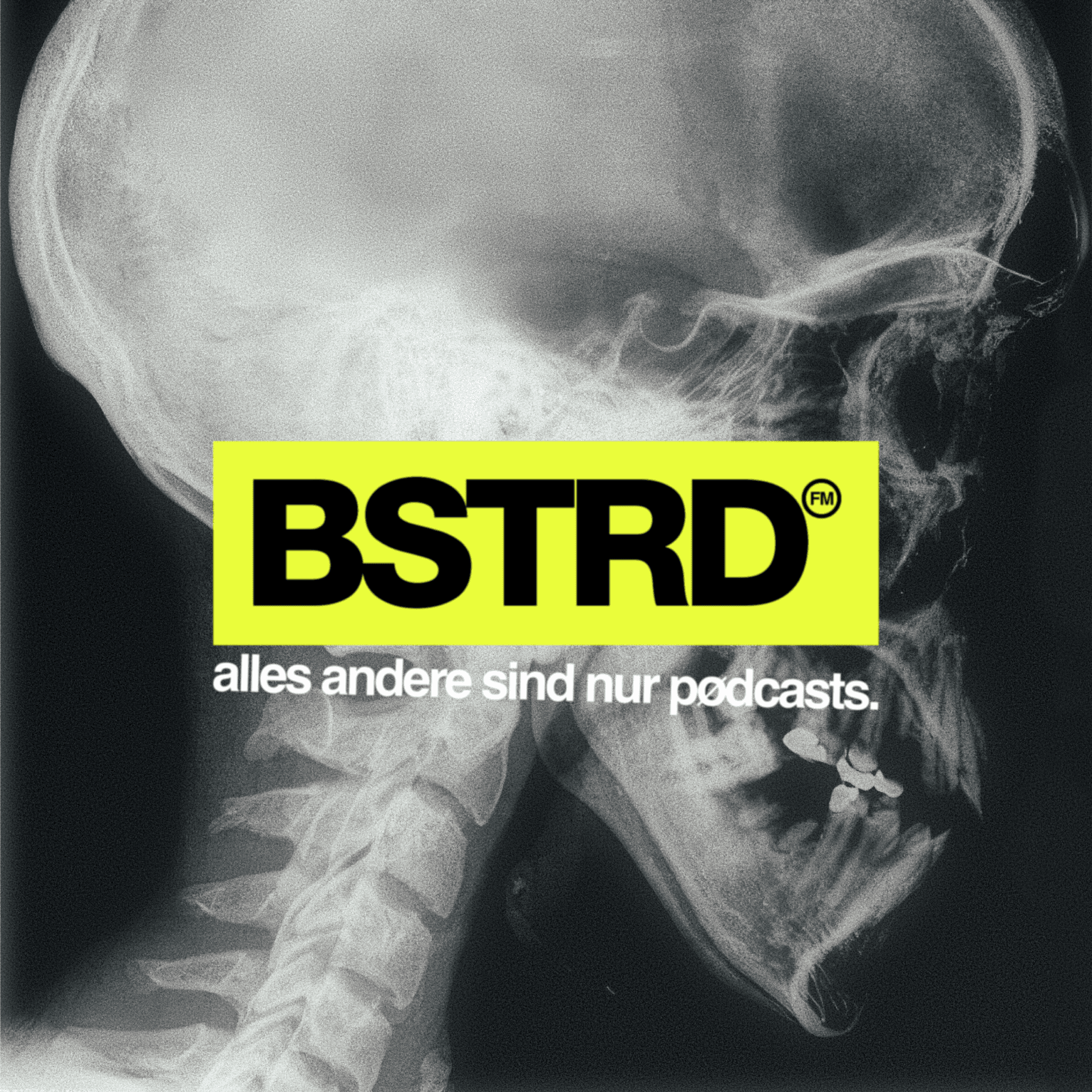 2206 / Autogeschichten - RADIO BASTARD cover