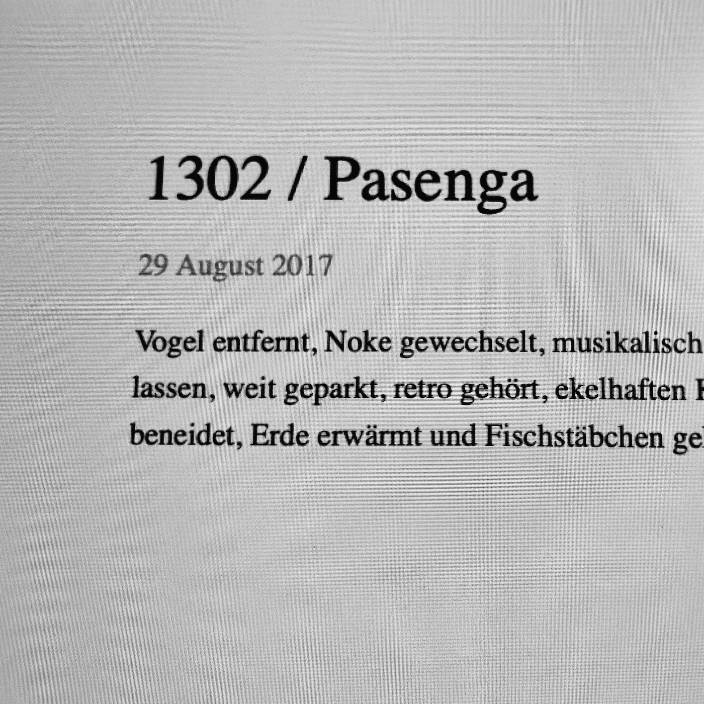 2899 / Internetzeitmaschine - RADIO BASTARD cover