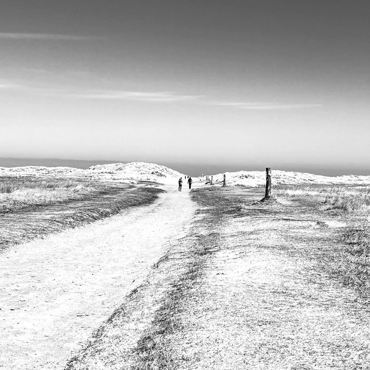 2904 / Sauerstoff - RADIO BASTARD cover