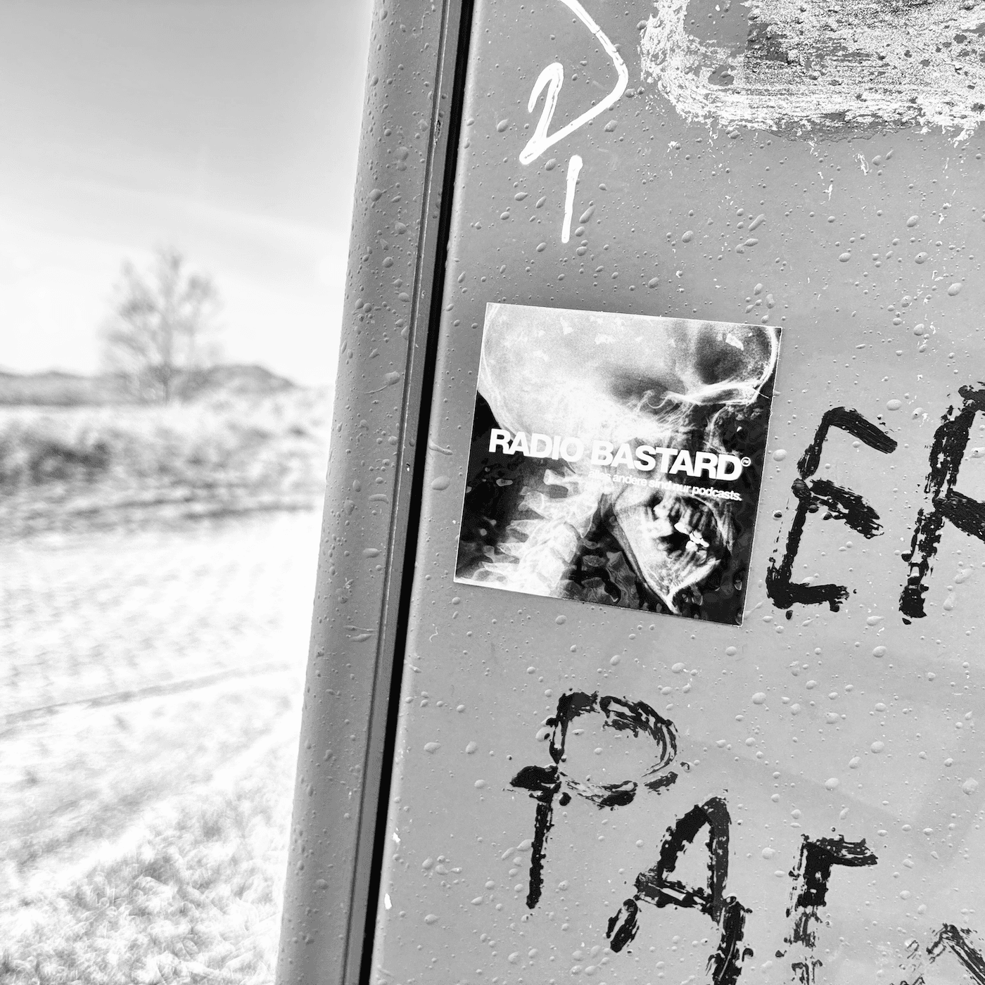 2905 / Restfahrzeit - RADIO BASTARD cover