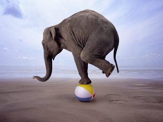 Weekly Expression #85 – Memória de Elefante - Brazilian Portuguese Podcast, by RLP cover