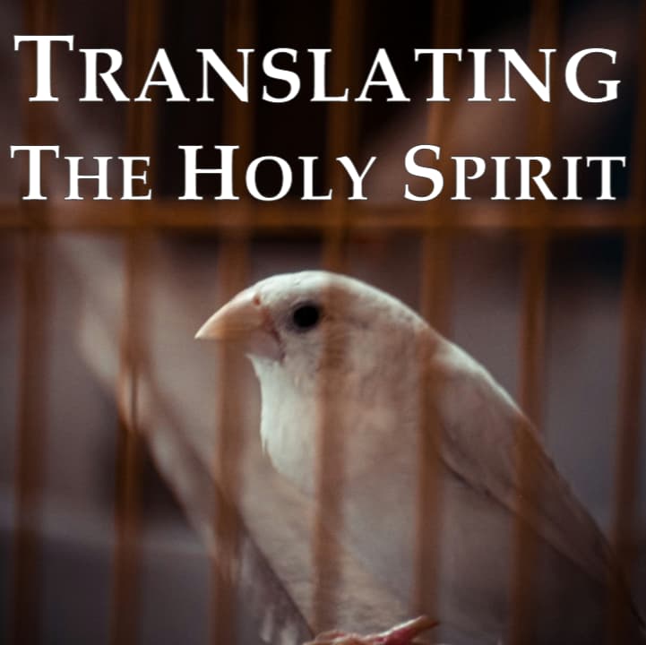 651. Translating the Holy Spirit (Sean Finnegan) — Restitutio cover