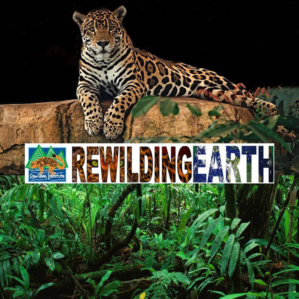 Episode 134: Rewilding Pitchfork Ranch – On The Ground With AT Cole - Rewilding Earth Podcast cover