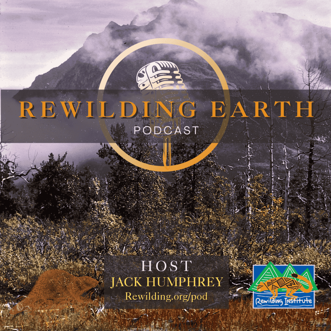 Episode 141: Tom Biebighauser Gives A Wetland Rewilding Masterclass - Rewilding Earth Podcast cover