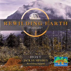 Episode 137: Paul Ehrlich On Saving Nature’s Populations and Ourselves - Rewilding Earth Podcast cover