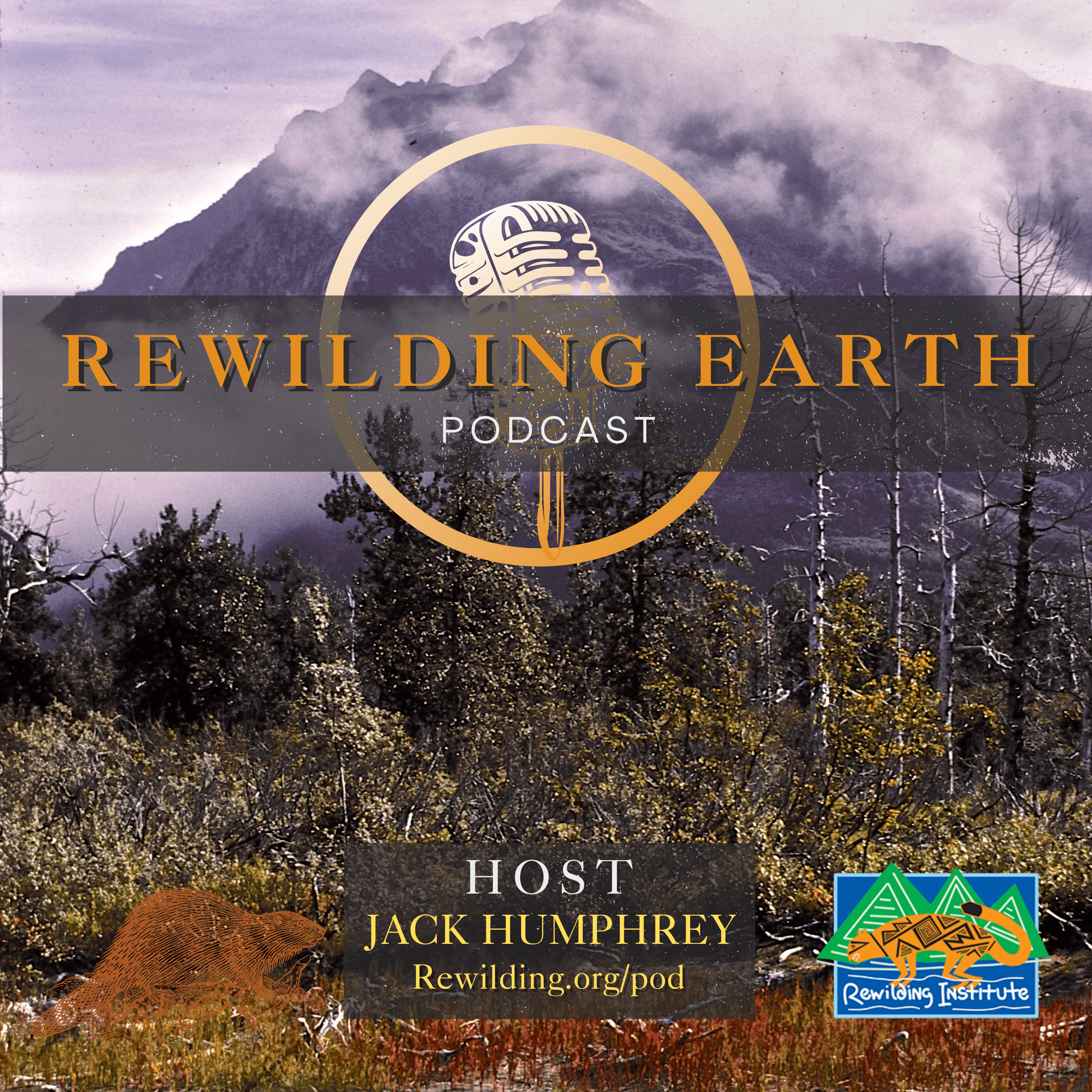 Episode 135: Dr. Todd Bridges on Engineering with Nature - Rewilding Earth Podcast cover