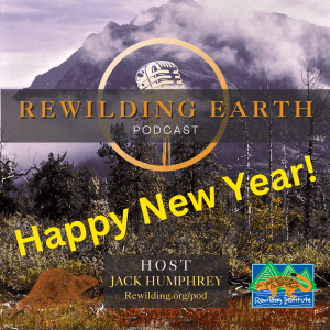 Episode 139: Year-End Recap With 2024 Guest Updates - Rewilding Earth Podcast cover