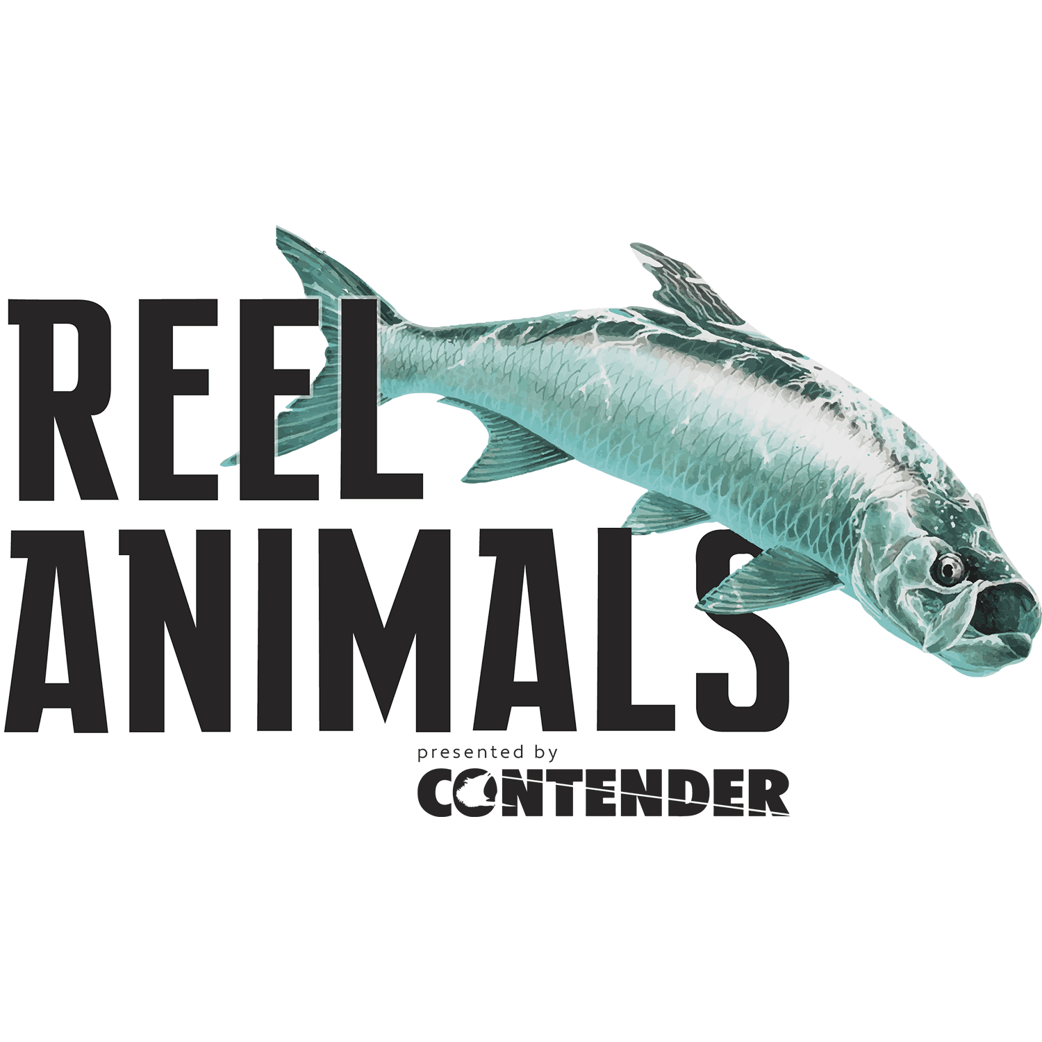 Reel Animals cover