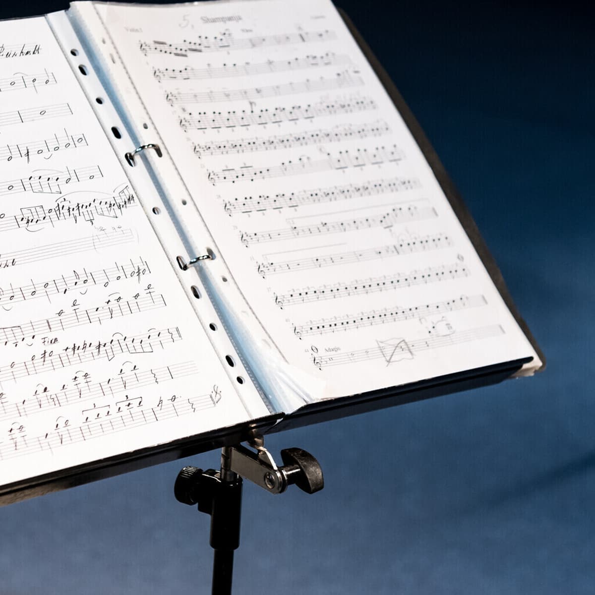 Muusikatuba. Lauljate truu kaaslane - vaikne Vaike Vahi - Muusikatuba cover