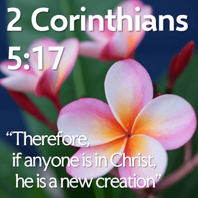 Therefore, if anyone is in Christ, he is a new creation - Holyrood Evangelical Church cover
