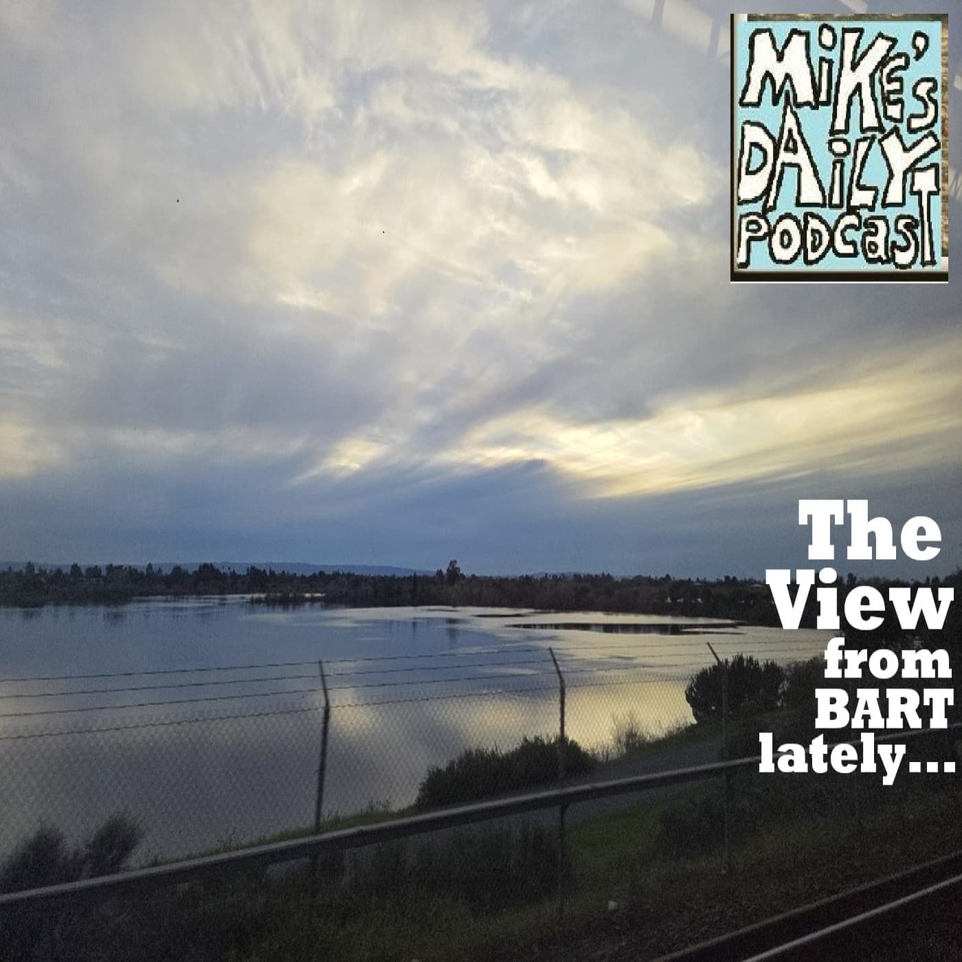 Avid! - Mike's Daily Podcast cover