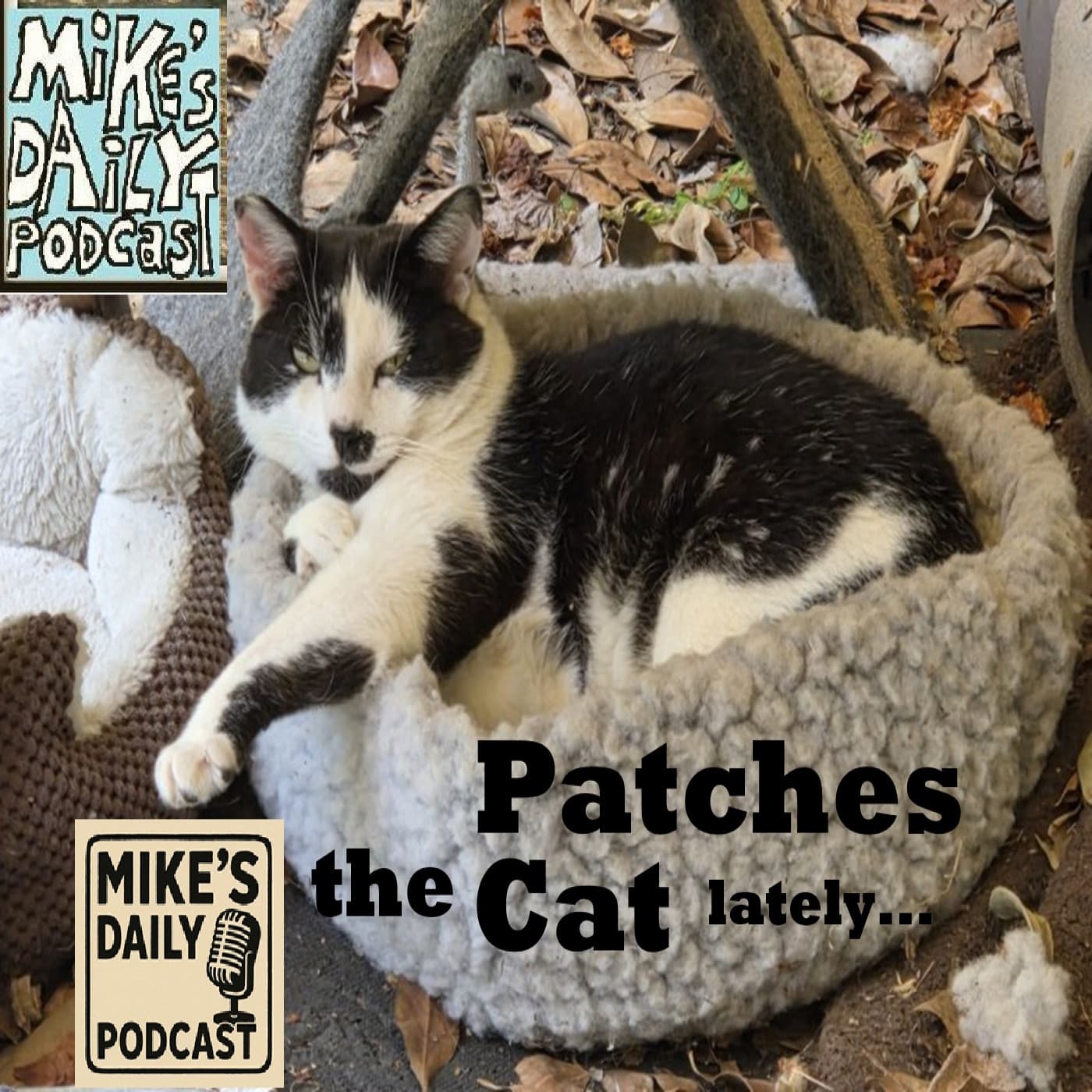 Connections! - Mike's Daily Podcast cover