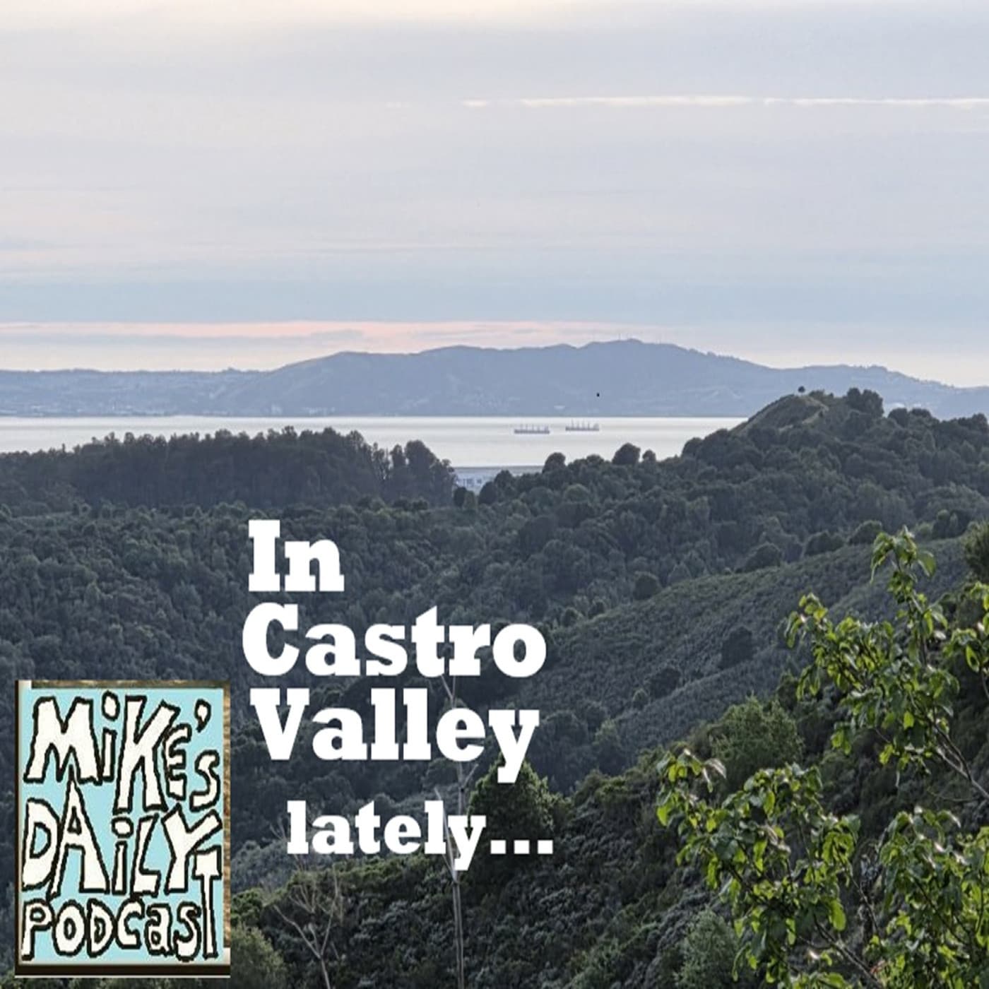 Fryers! — Mike's Daily Podcast cover