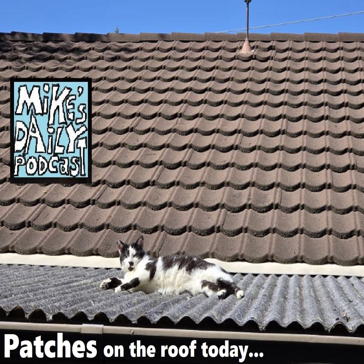 Gardening! - Mike's Daily Podcast cover